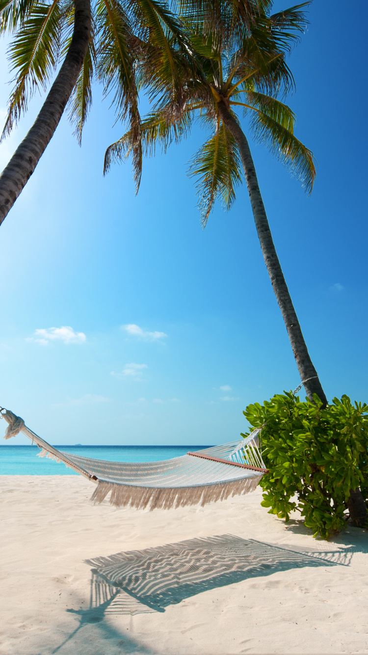 Palmera Verde en la Playa de Arena Blanca Durante el Día. Wallpaper in 750x1334 Resolution