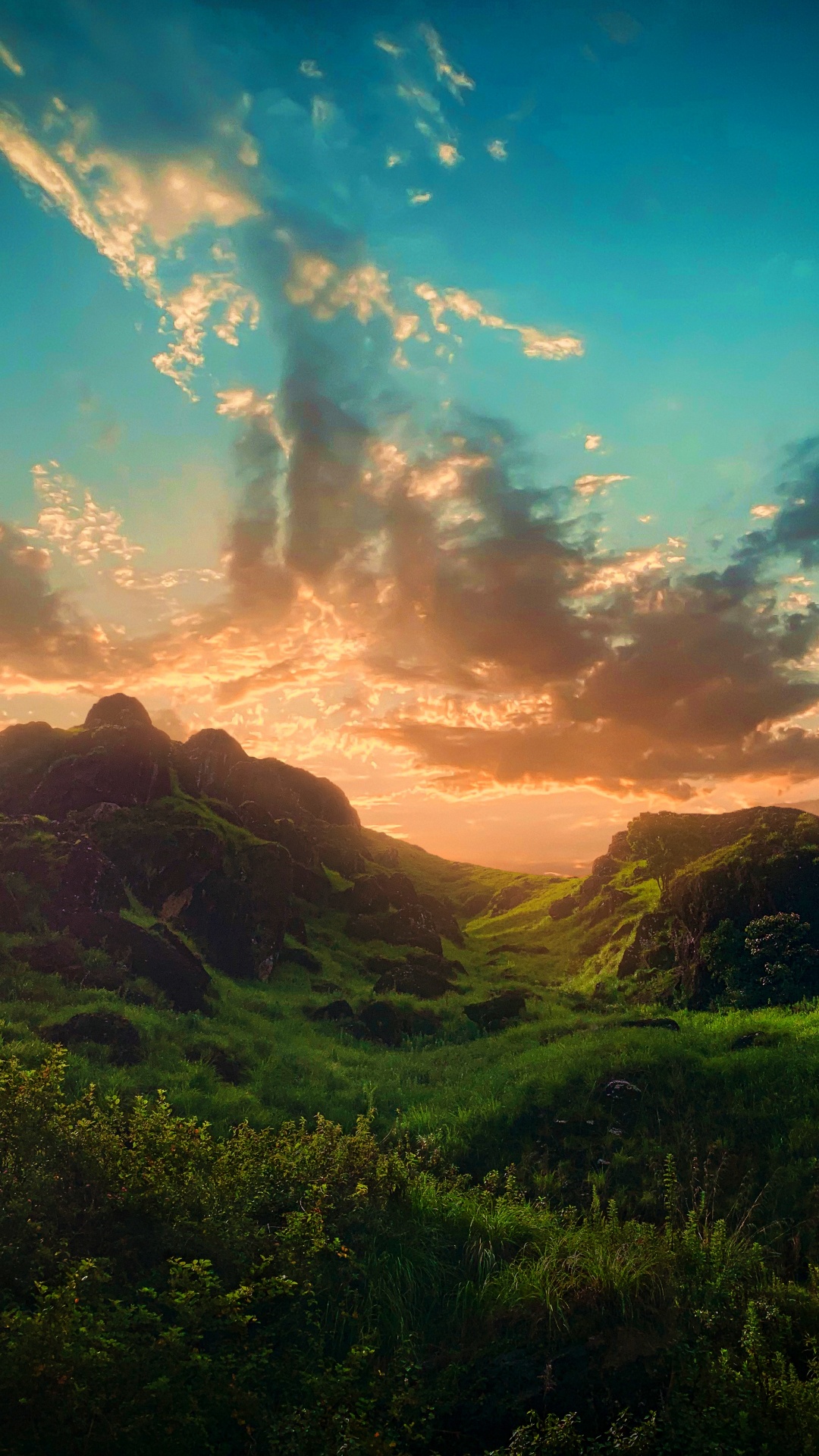 Natur, Illustration, Cloud, Atmosphäre, Ökoregion. Wallpaper in 1080x1920 Resolution