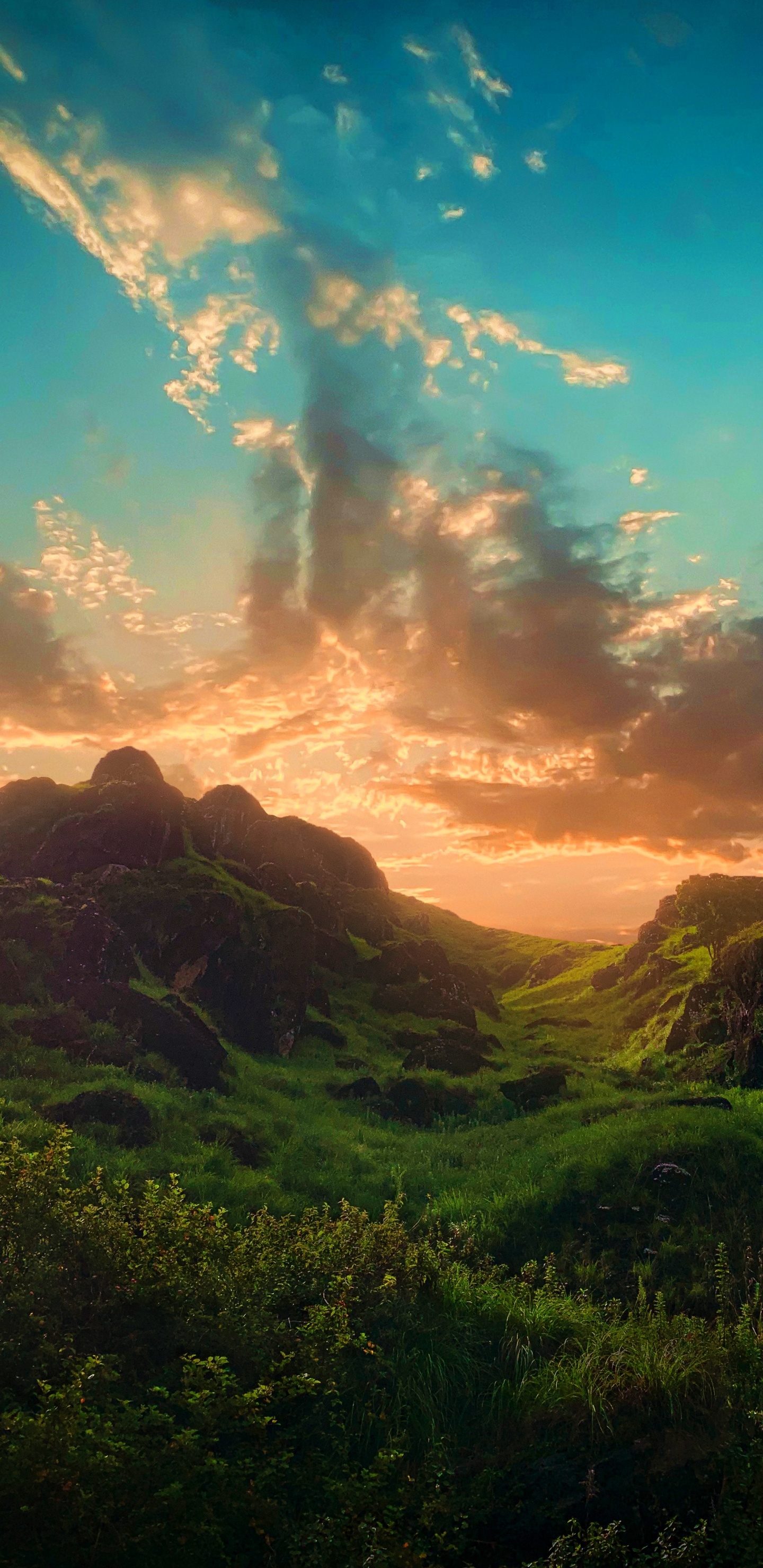 Natur, Illustration, Cloud, Atmosphäre, Ökoregion. Wallpaper in 1440x2960 Resolution