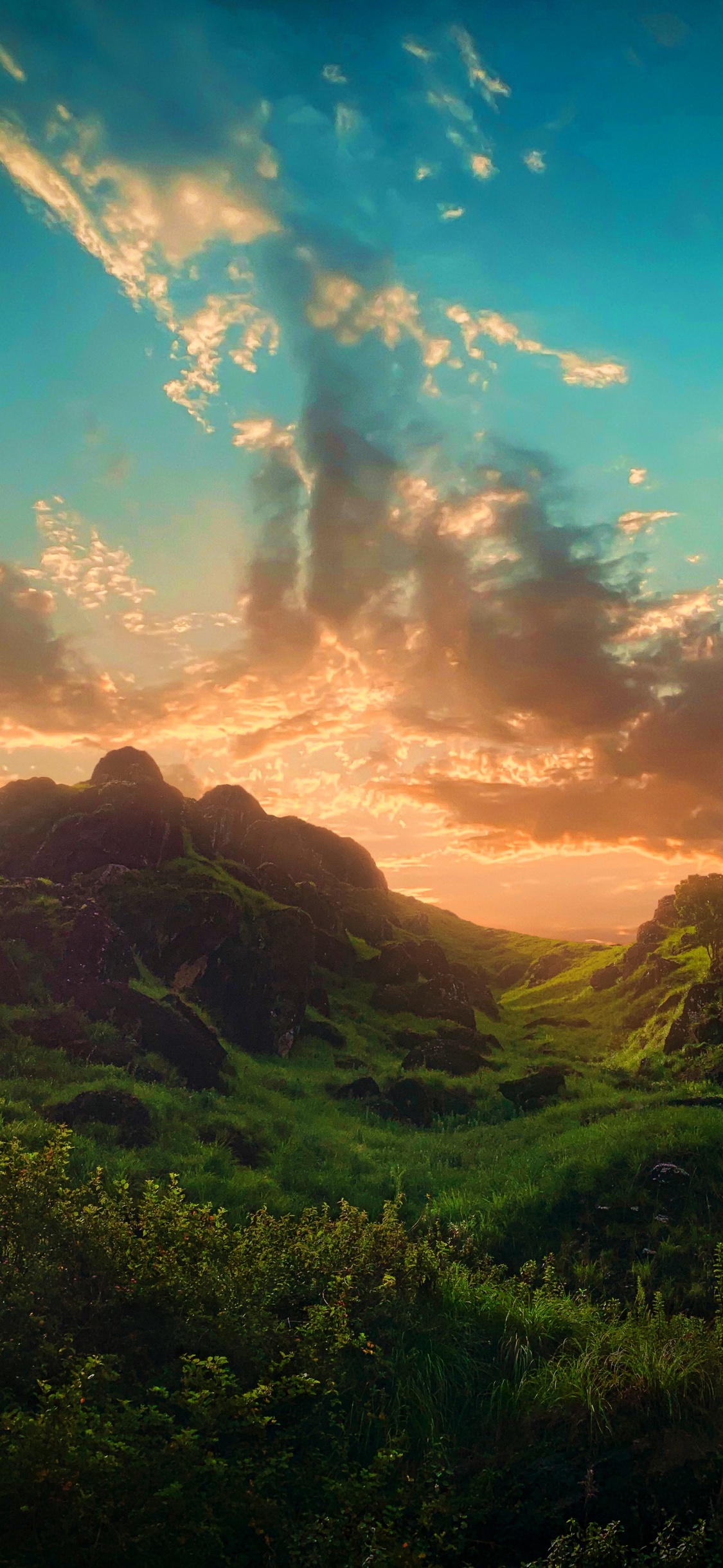 Nature, Illustration, Atmosphère, L'écorégion, Paysage Naturel. Wallpaper in 1125x2436 Resolution