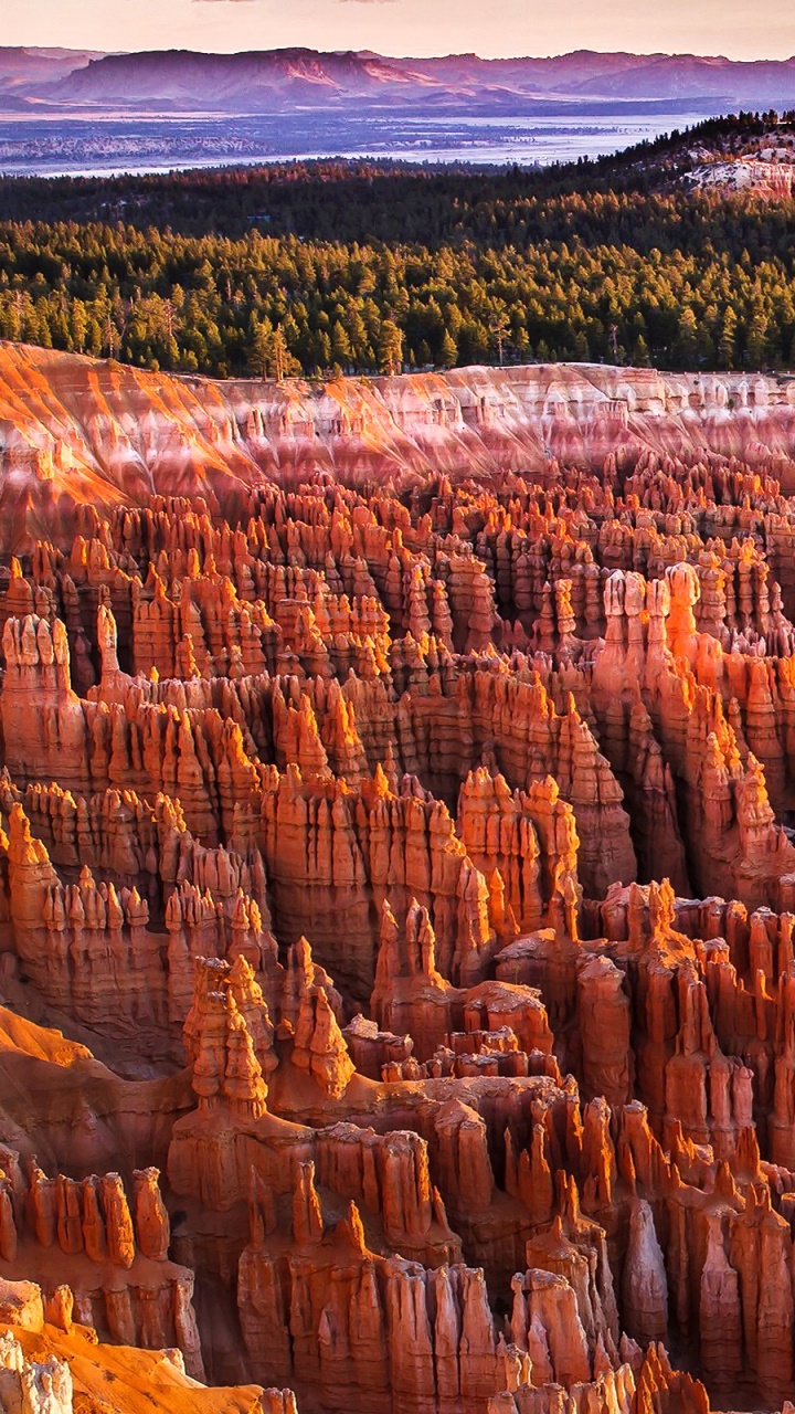 Brown Rock Formation Near Green Trees During Daytime. Wallpaper in 720x1280 Resolution