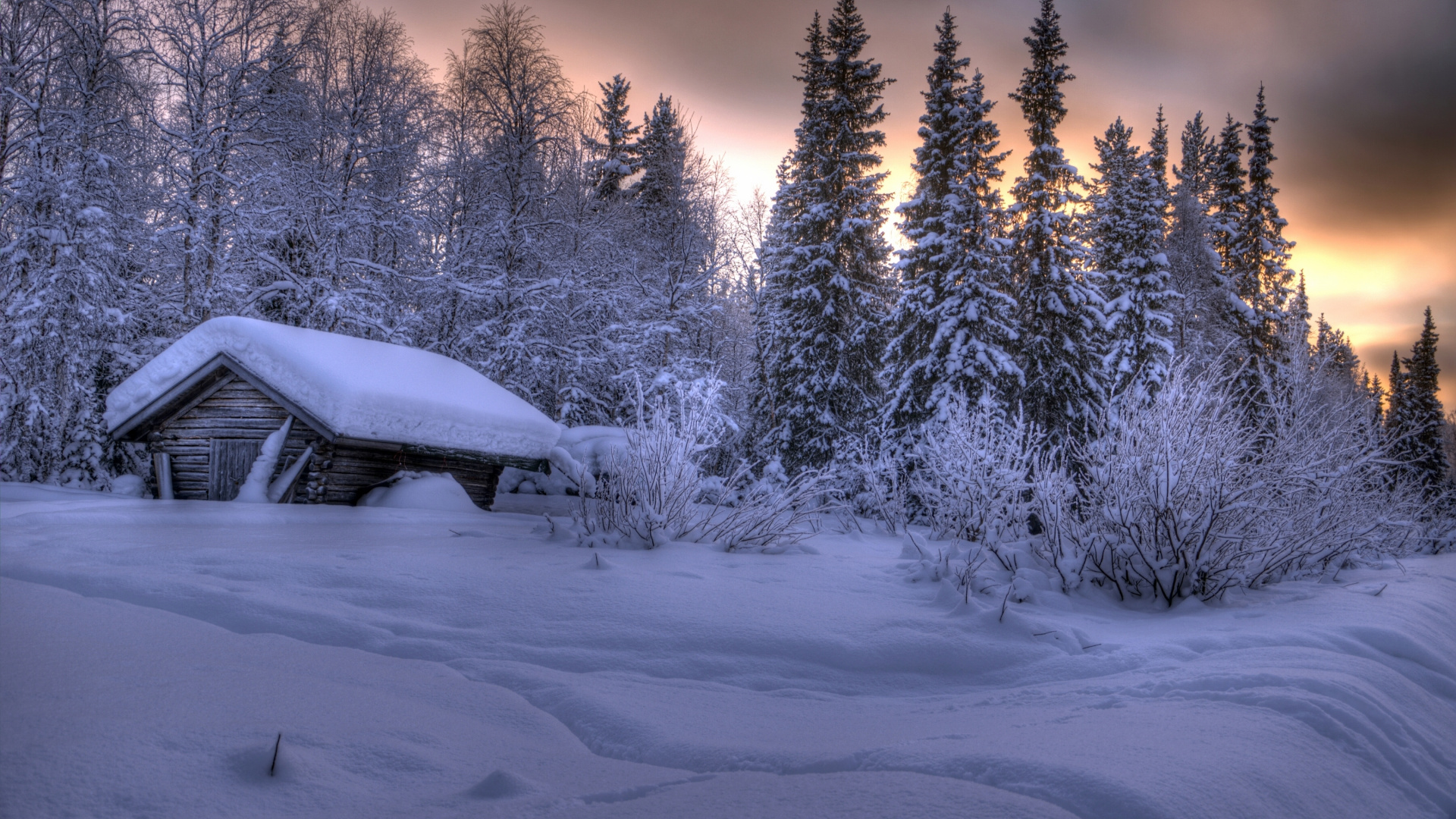 Casa Cubierta de Nieve Cerca de Los Árboles Durante el Día. Wallpaper in 1920x1080 Resolution