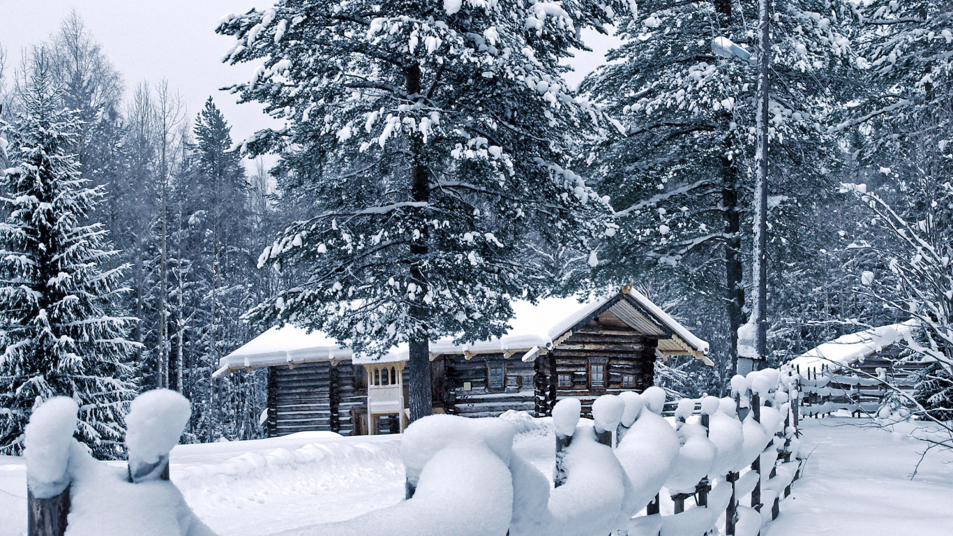 Casa de Madera Marrón Cubierta de Nieve Cerca de Los Árboles Durante el Día. Wallpaper in 1366x768 Resolution