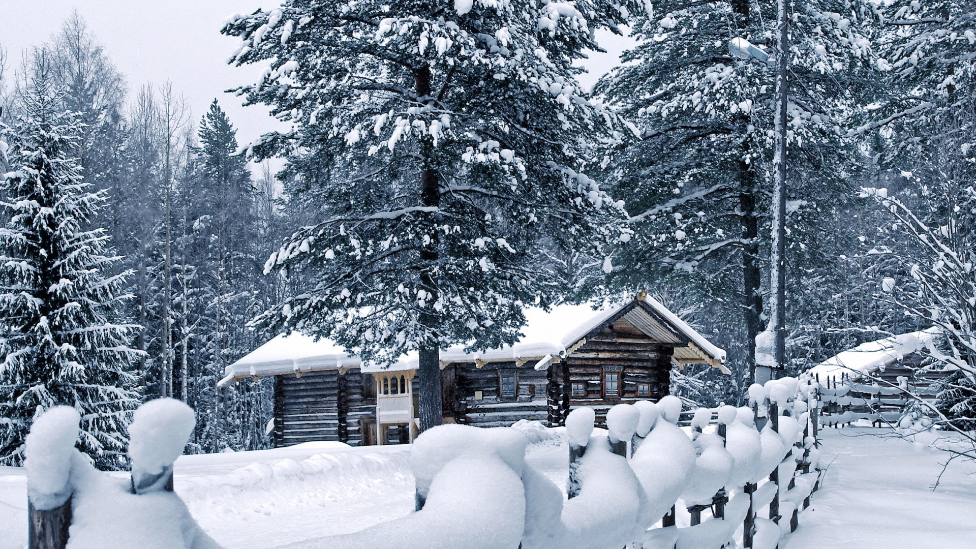 Braunes Holzhaus Mit Schnee Bedeckt in Der Nähe Von Bäumen Tagsüber. Wallpaper in 1920x1080 Resolution