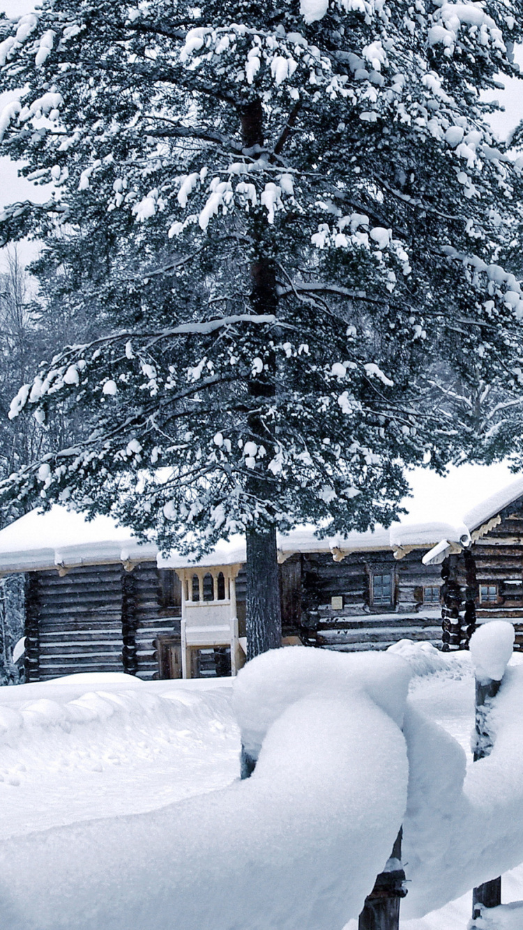 Brown Wooden House Covered With Snow Near Trees During Daytime. Wallpaper in 750x1334 Resolution