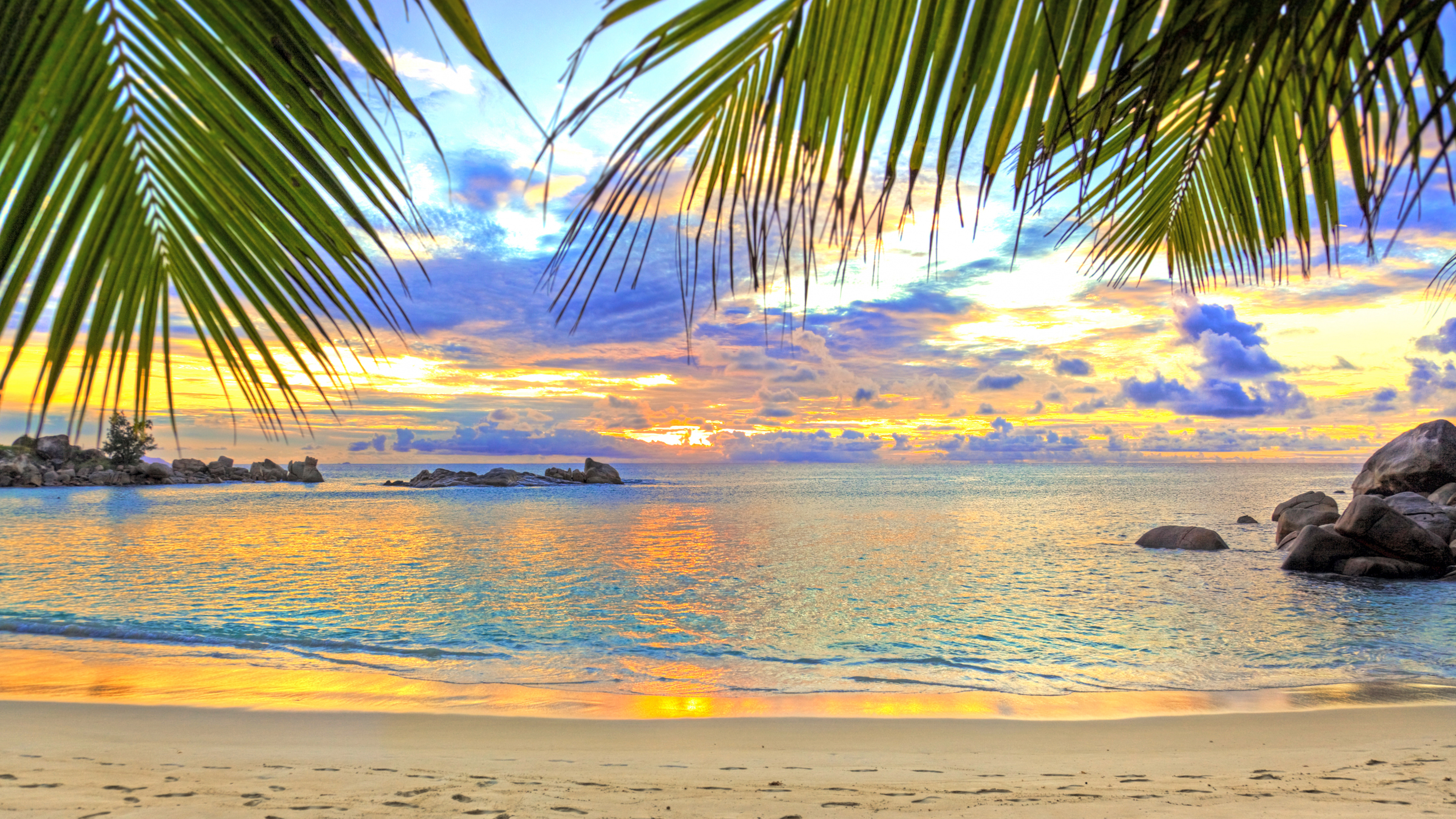 Silhouette of Palm Tree Near Body of Water During Sunset. Wallpaper in 3840x2160 Resolution