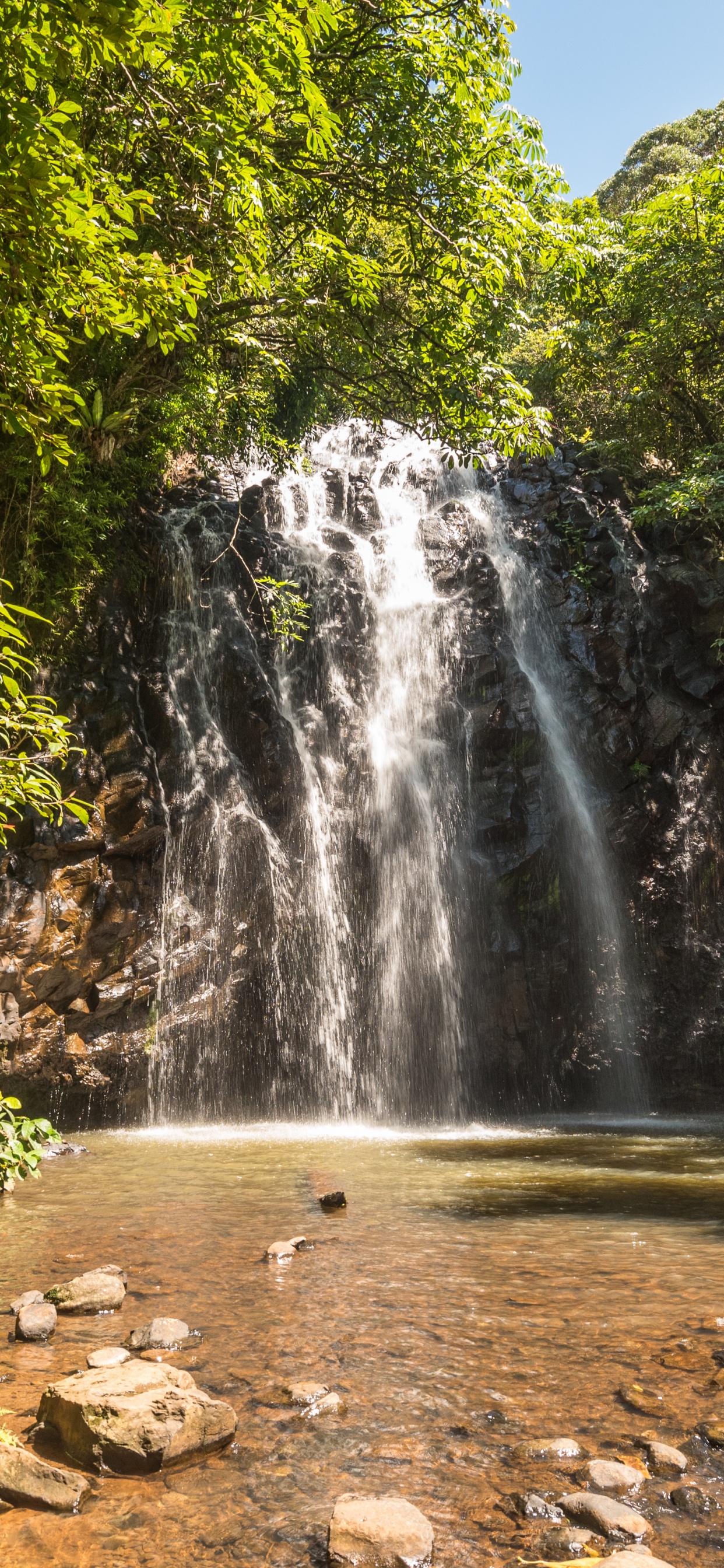 Cascadas en Medio Del Bosque Durante el Día. Wallpaper in 1242x2688 Resolution