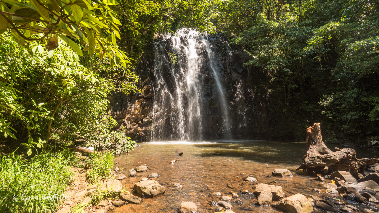 Waterfalls in The Middle of The Forest During Daytime. Wallpaper in 1280x720 Resolution