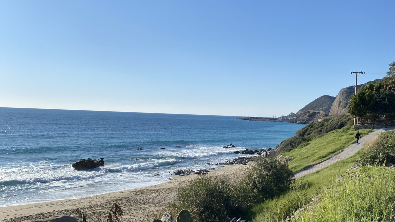 Coast, Science, Biology, Water, Plant. Wallpaper in 1366x768 Resolution