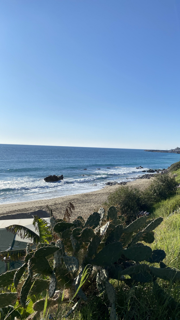 Coast, Science, Biology, Water, Plant. Wallpaper in 750x1334 Resolution