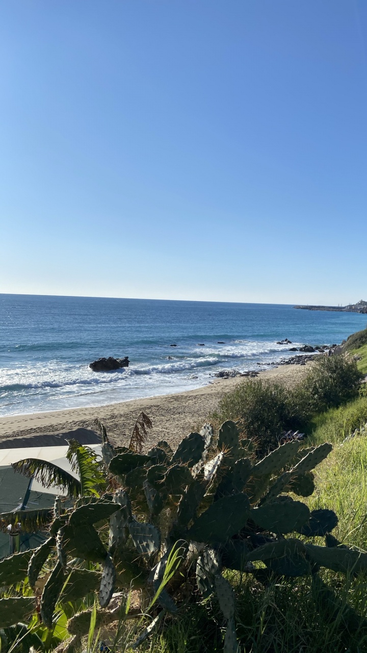 Costa, Ciencia, Biología, Agua, Ecorregión. Wallpaper in 720x1280 Resolution