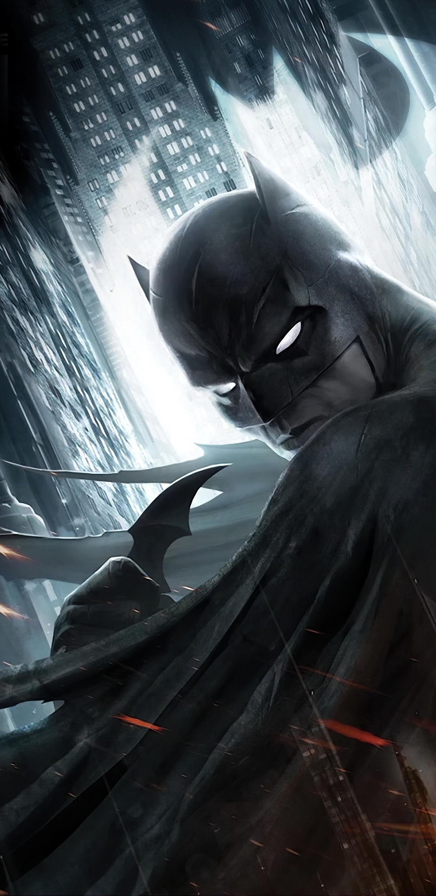 蝙蝠侠, 罗宾, 两千三, DC宇宙, DVD 壁纸 1440x2960 允许