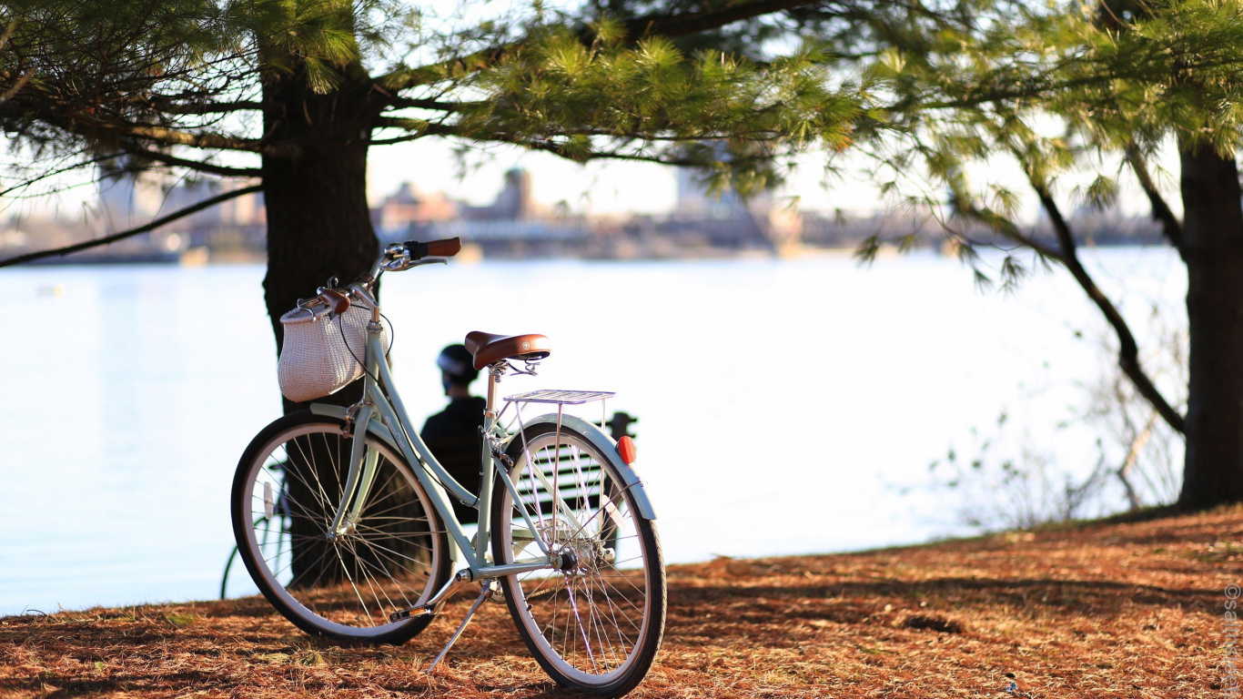 White City Bike on Brown Sand Near Body of Water During Daytime. Wallpaper in 1366x768 Resolution