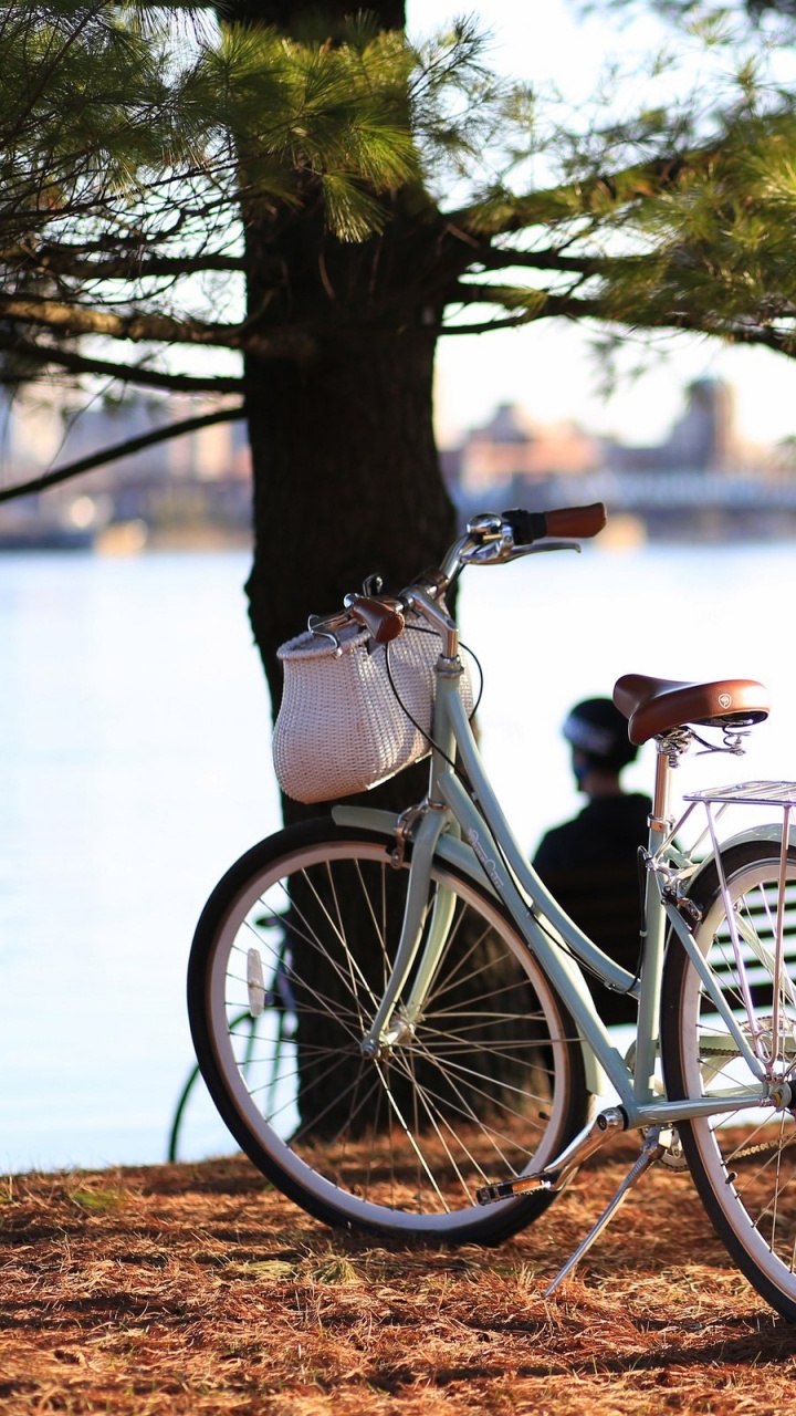 White City Bike on Brown Sand Near Body of Water During Daytime. Wallpaper in 720x1280 Resolution