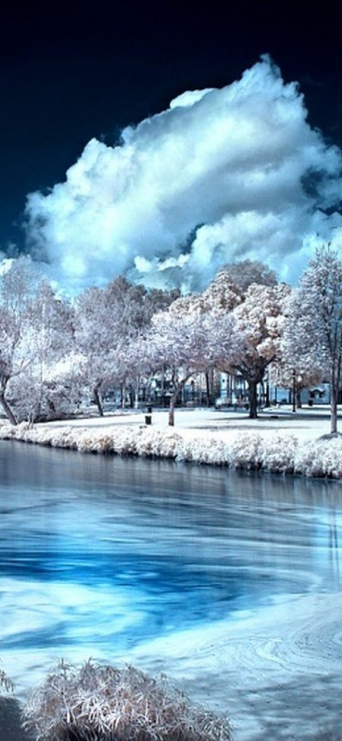 Hombre y Mujer Sentados Sobre Una Roca Cerca Del Cuerpo de Agua Durante el Día. Wallpaper in 1125x2436 Resolution