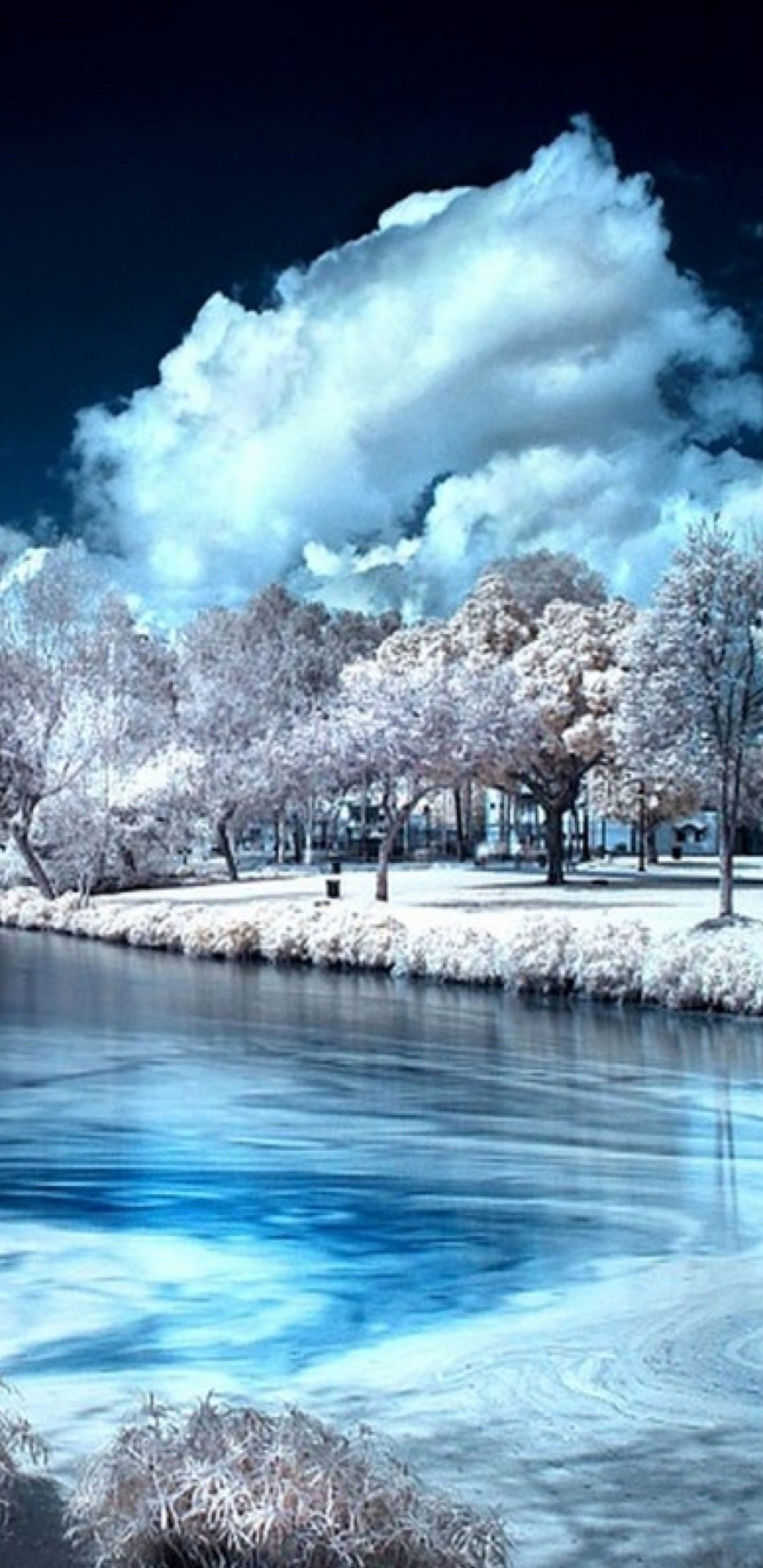 Man and Woman Sitting on Rock Near Body of Water During Daytime. Wallpaper in 1440x2960 Resolution