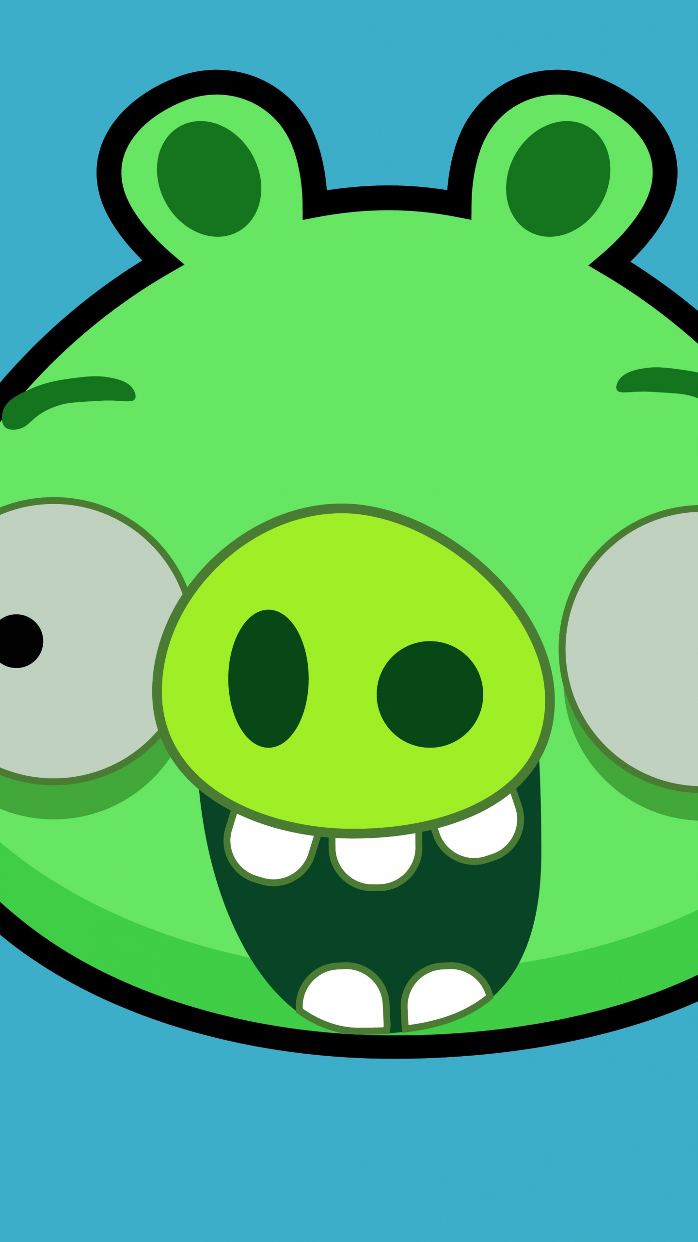Angry Birds, Green, Cartoon, Smile, Illustration. Wallpaper in 1440x2560 Resolution