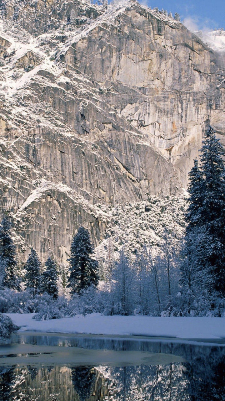 Schneebedeckte Bäume Und Berge Tagsüber. Wallpaper in 720x1280 Resolution
