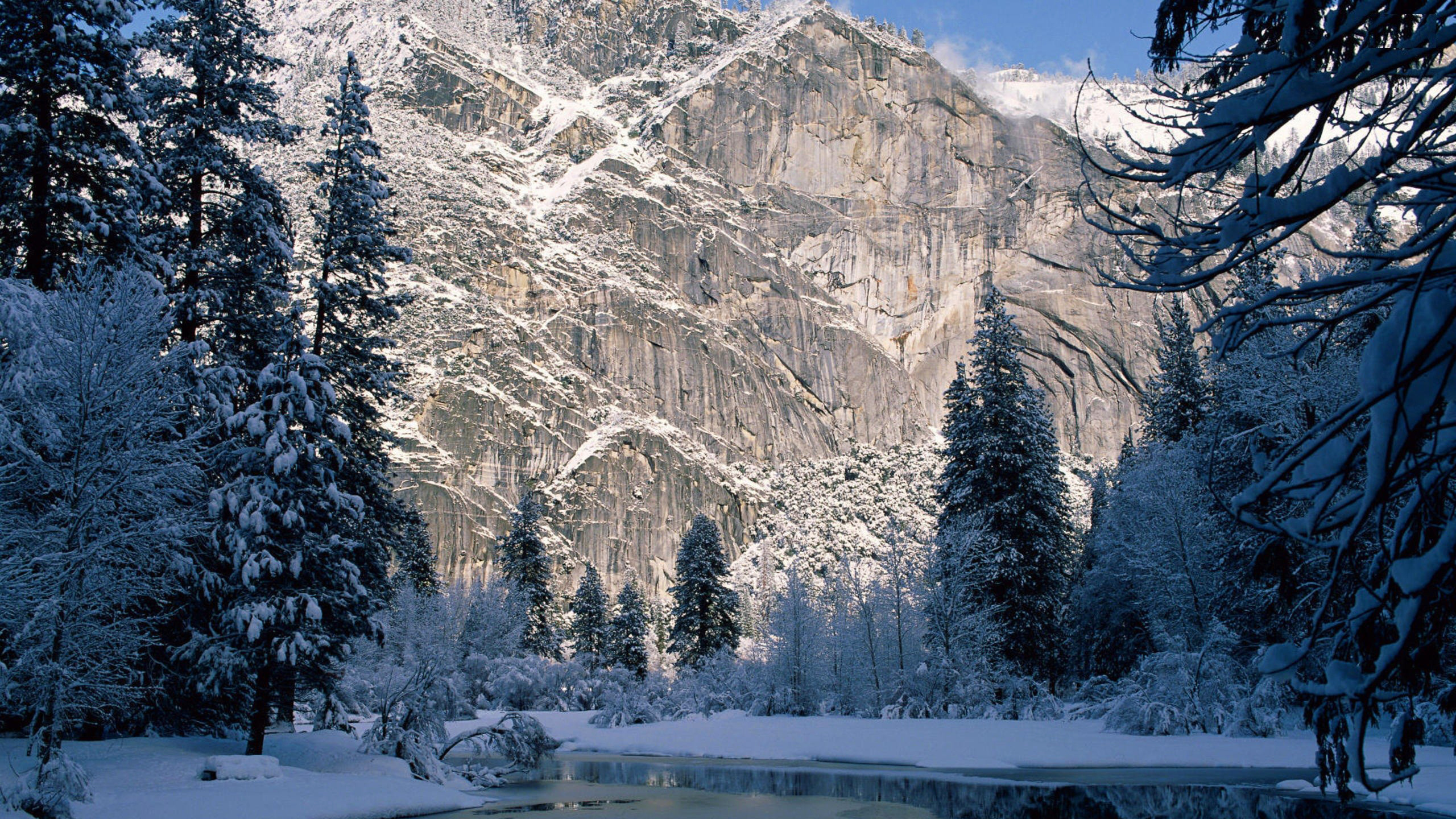 Snow Covered Trees and Mountain During Daytime. Wallpaper in 2560x1440 Resolution