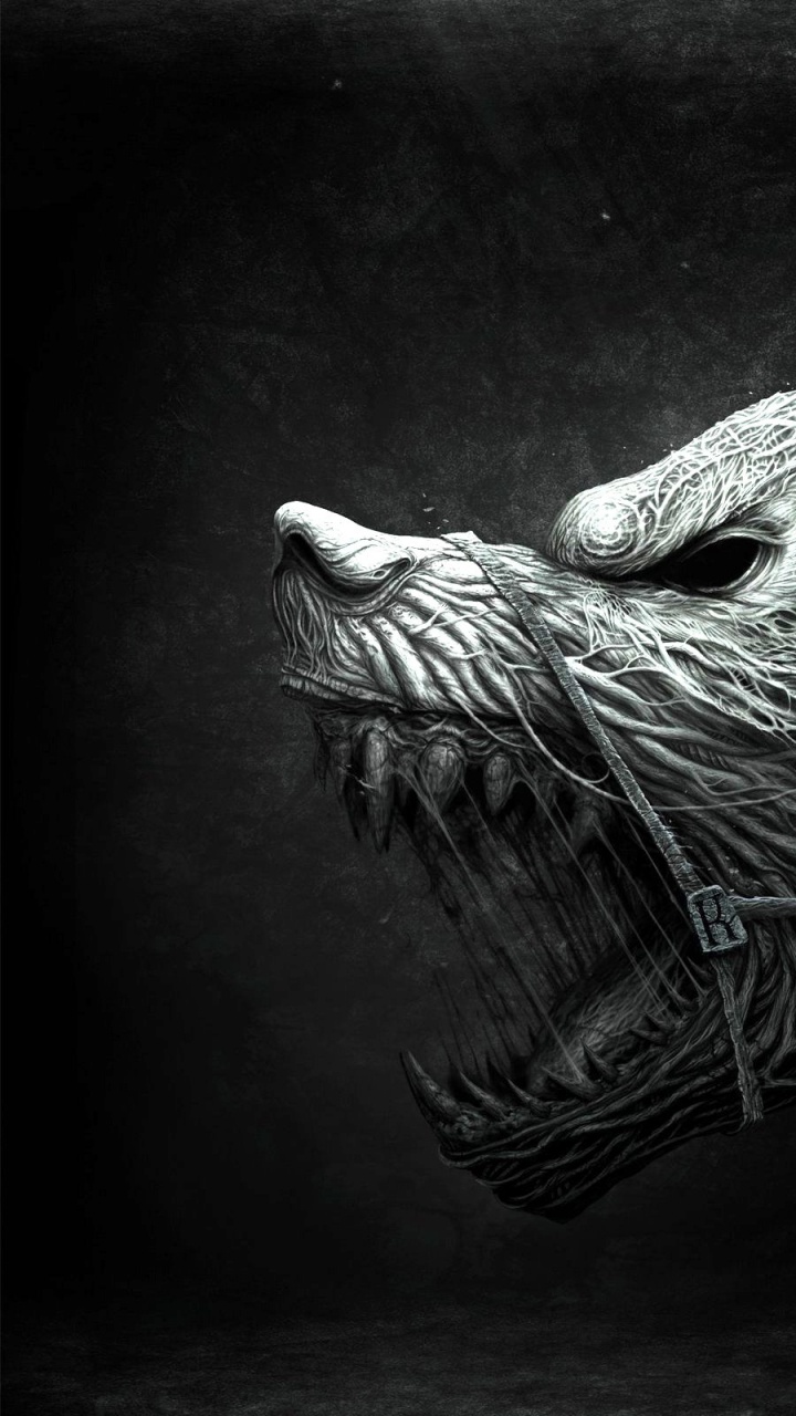 Ailes D'oiseaux Blanches et Noires. Wallpaper in 720x1280 Resolution