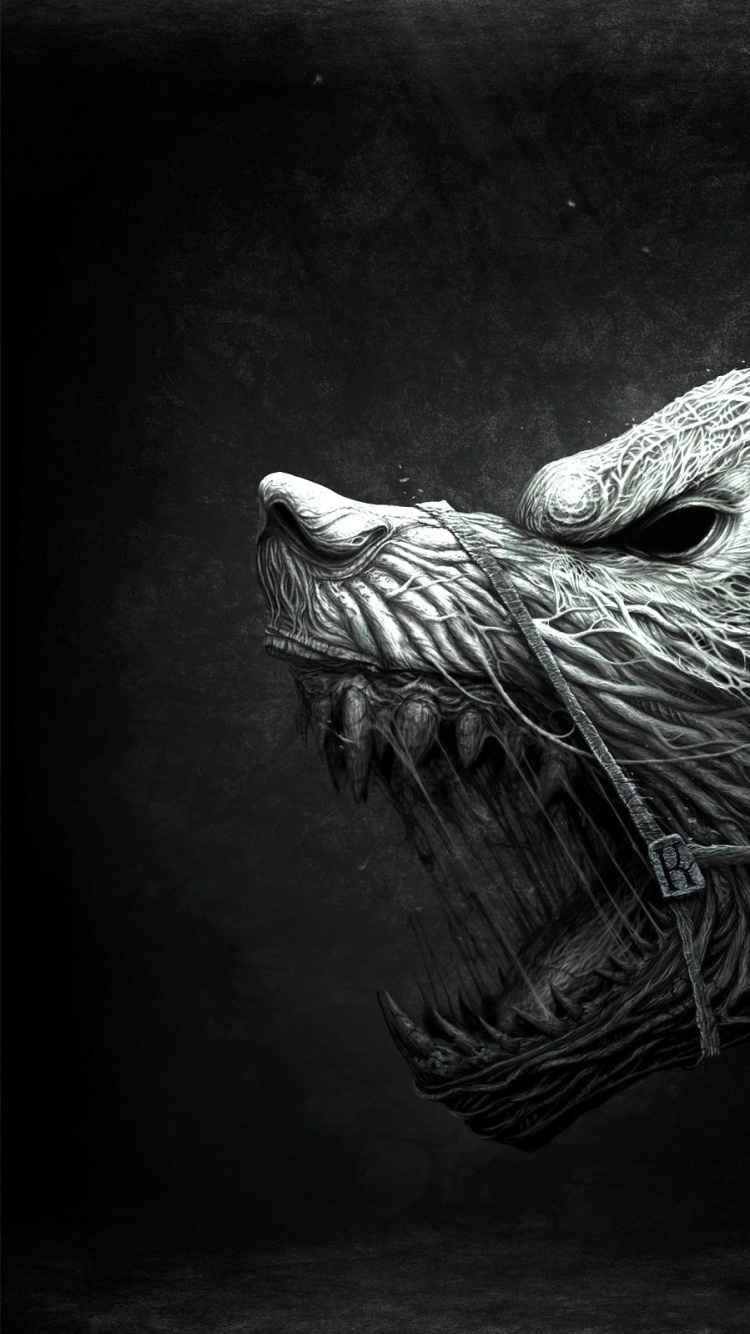 Ailes D'oiseaux Blanches et Noires. Wallpaper in 750x1334 Resolution