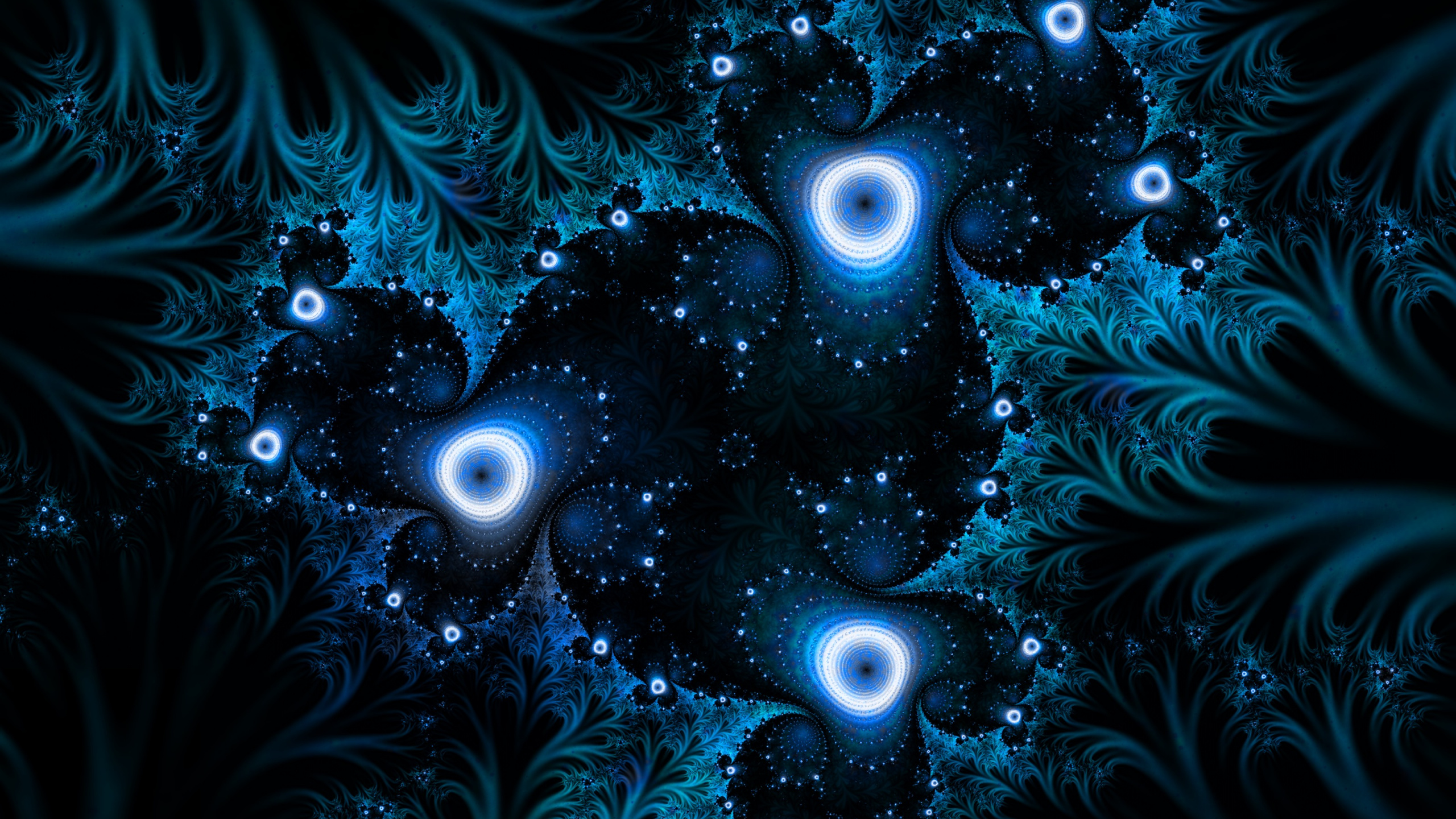 Blue and Red Lights on Black Background. Wallpaper in 2560x1440 Resolution