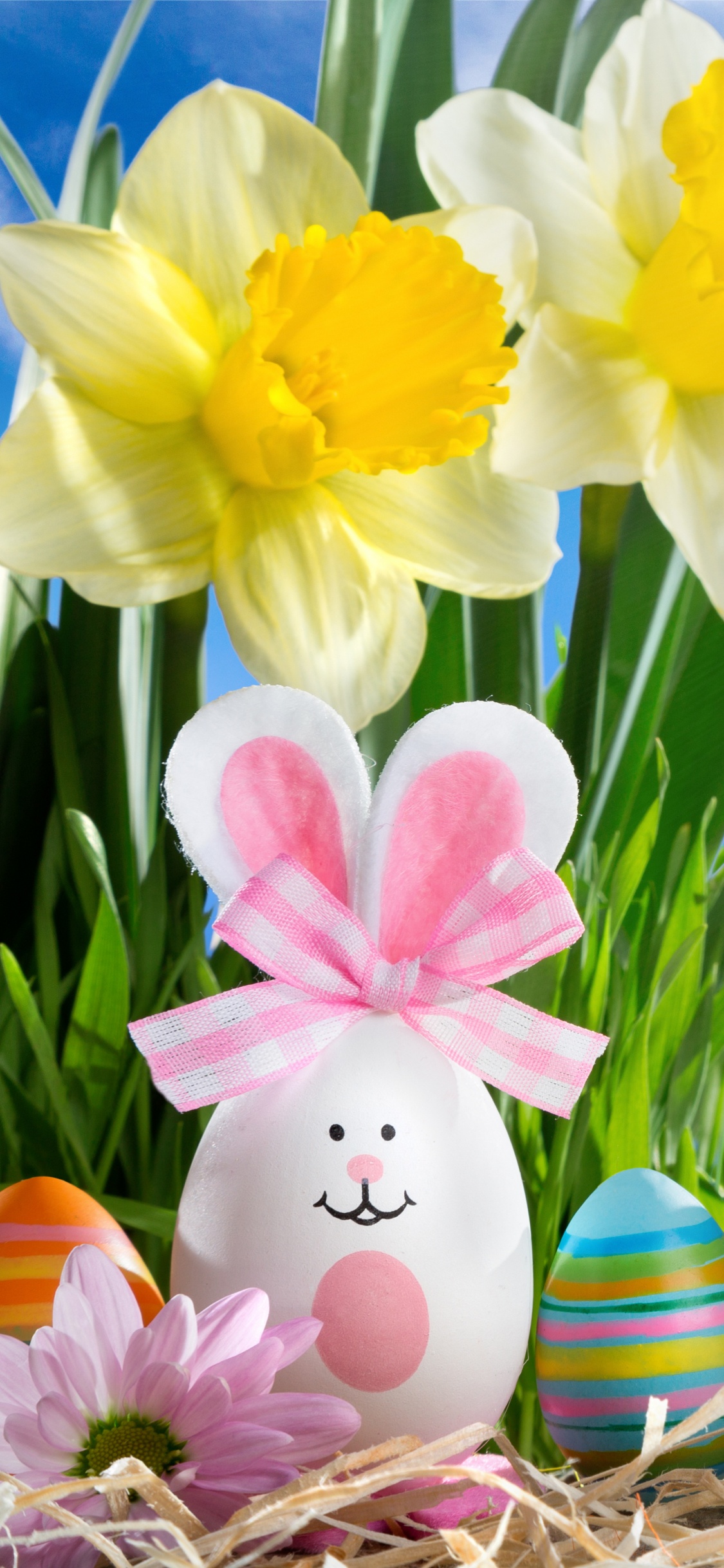 Easter Egg, Spring, Holiday, Easter, Grass. Wallpaper in 1125x2436 Resolution