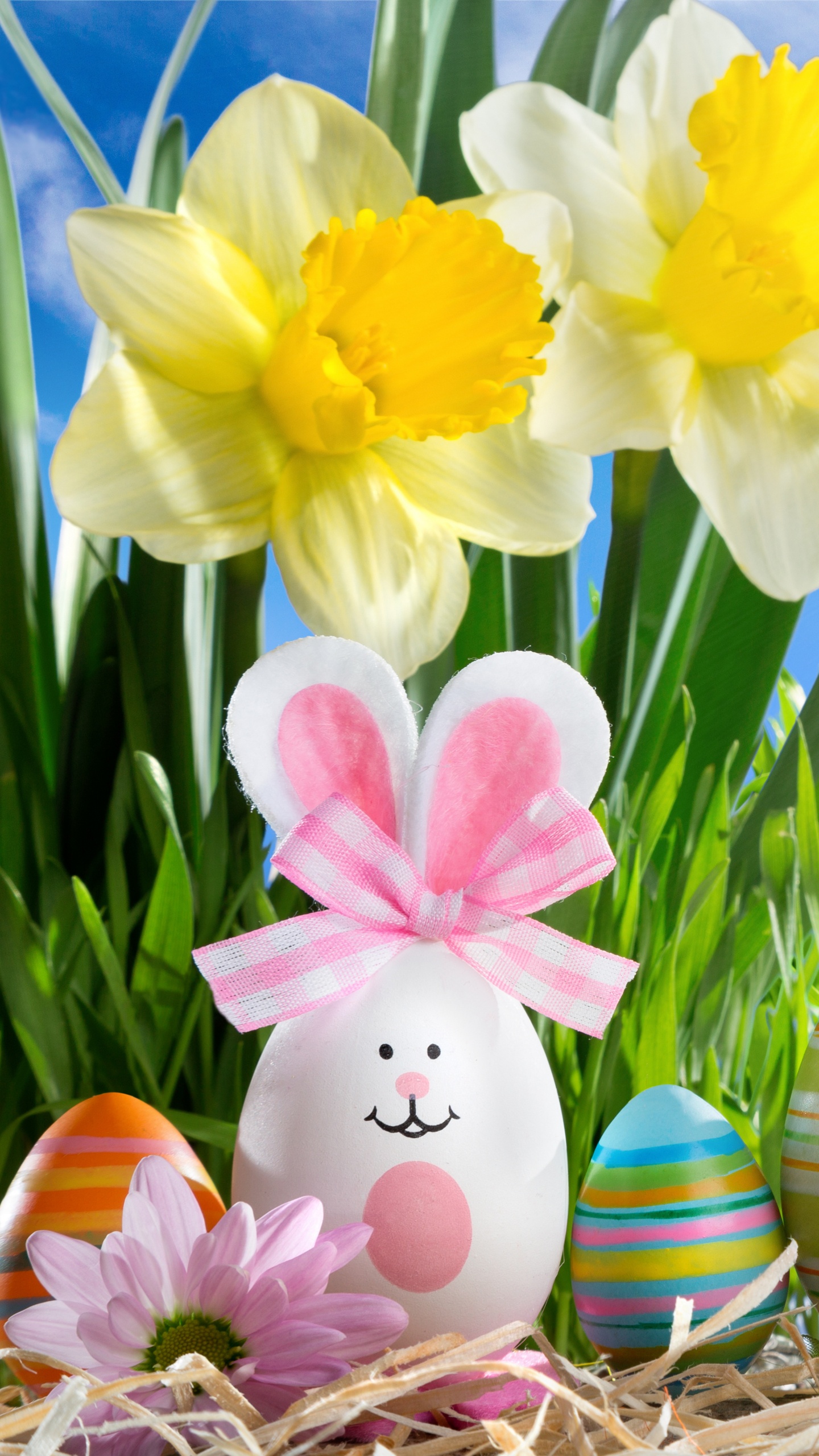Easter Egg, Spring, Holiday, Easter, Grass. Wallpaper in 1440x2560 Resolution