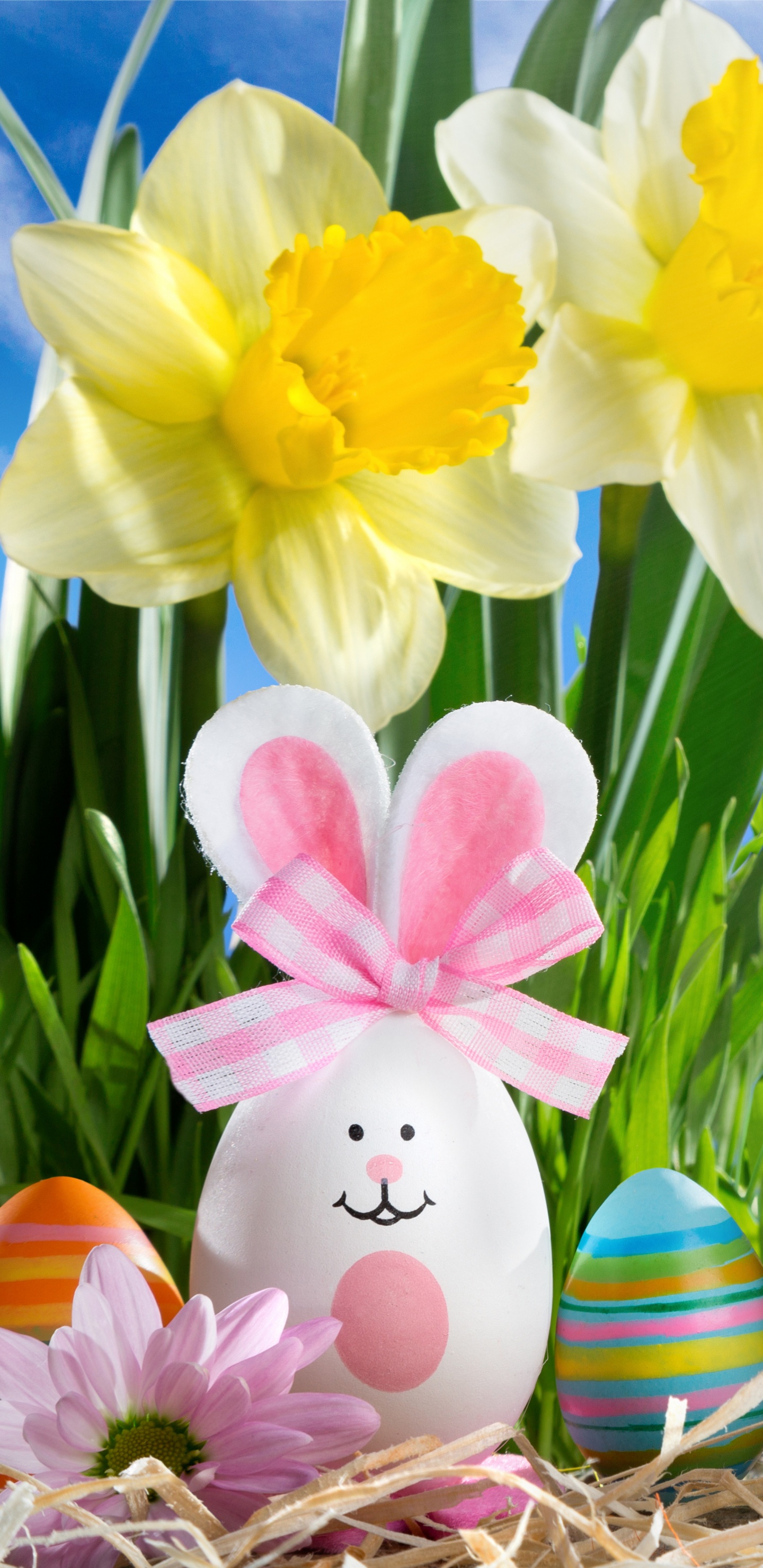 Easter Egg, Spring, Holiday, Easter, Grass. Wallpaper in 1440x2960 Resolution