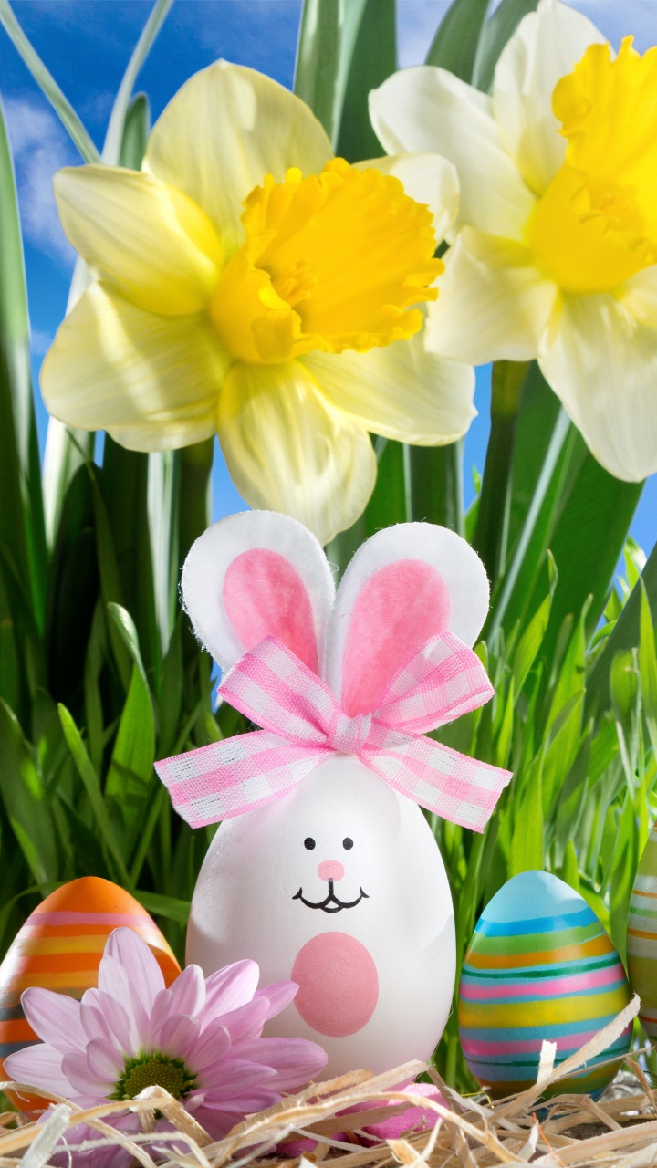 Easter Egg, Spring, Holiday, Easter, Grass. Wallpaper in 720x1280 Resolution