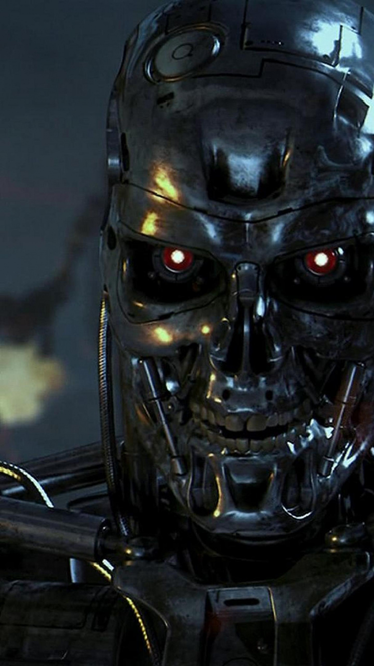 Black Skull With Silver Chain Link Necklace. Wallpaper in 750x1334 Resolution