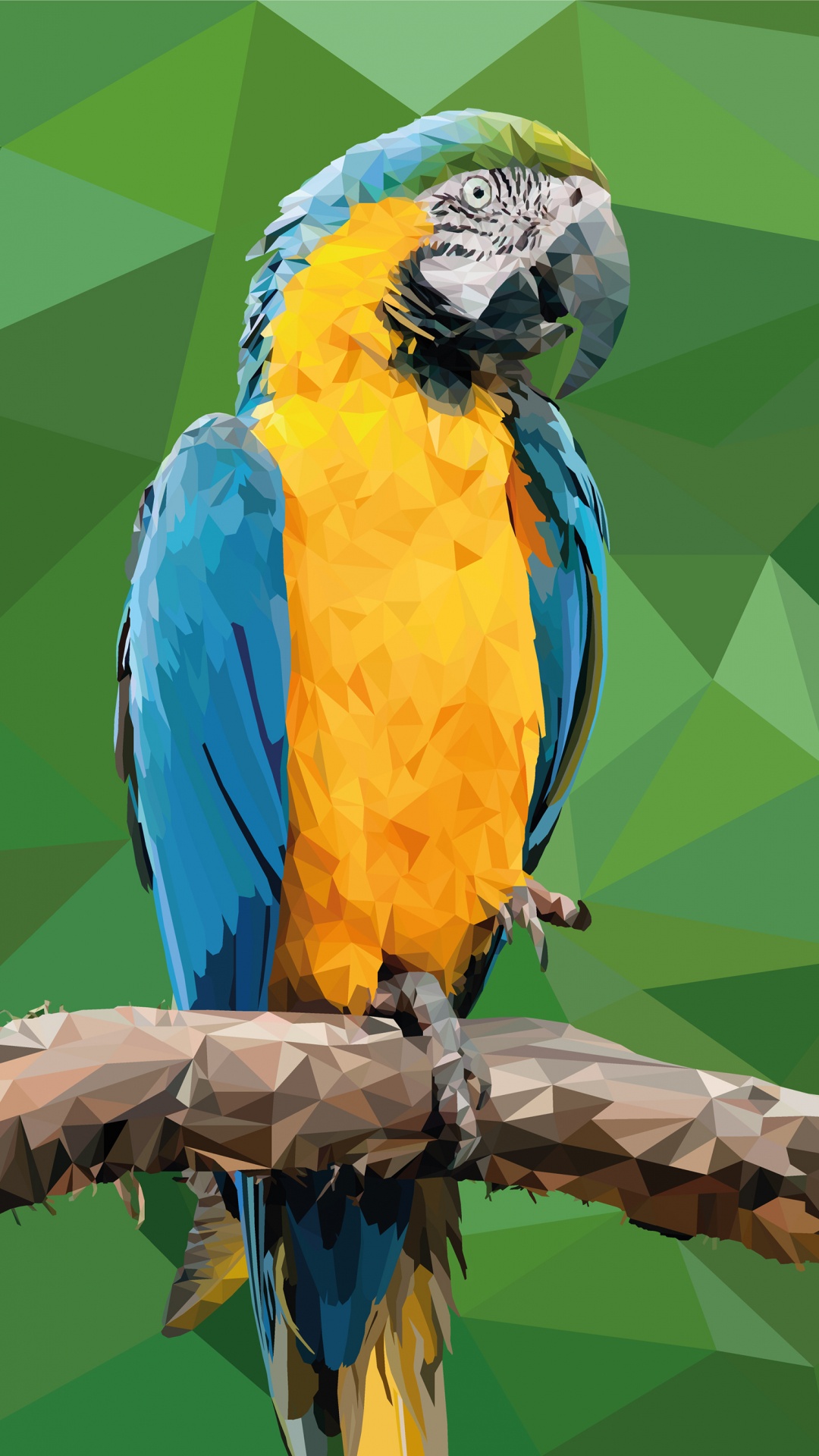 Blue Yellow and Green Macaw Perched on Brown Tree Branch. Wallpaper in 1080x1920 Resolution