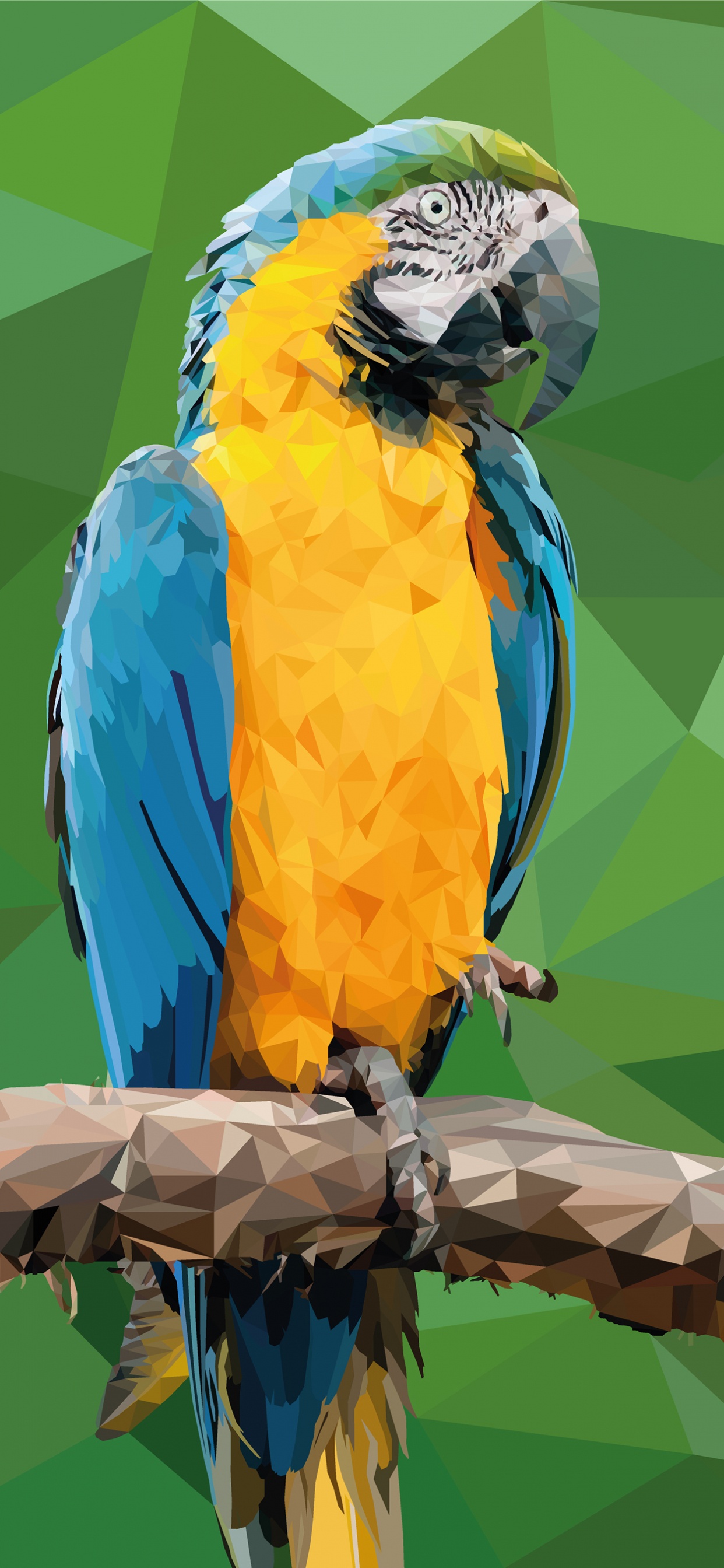 Guacamayo Azul Amarillo y Verde Posado en la Rama de un Árbol Marrón. Wallpaper in 1242x2688 Resolution