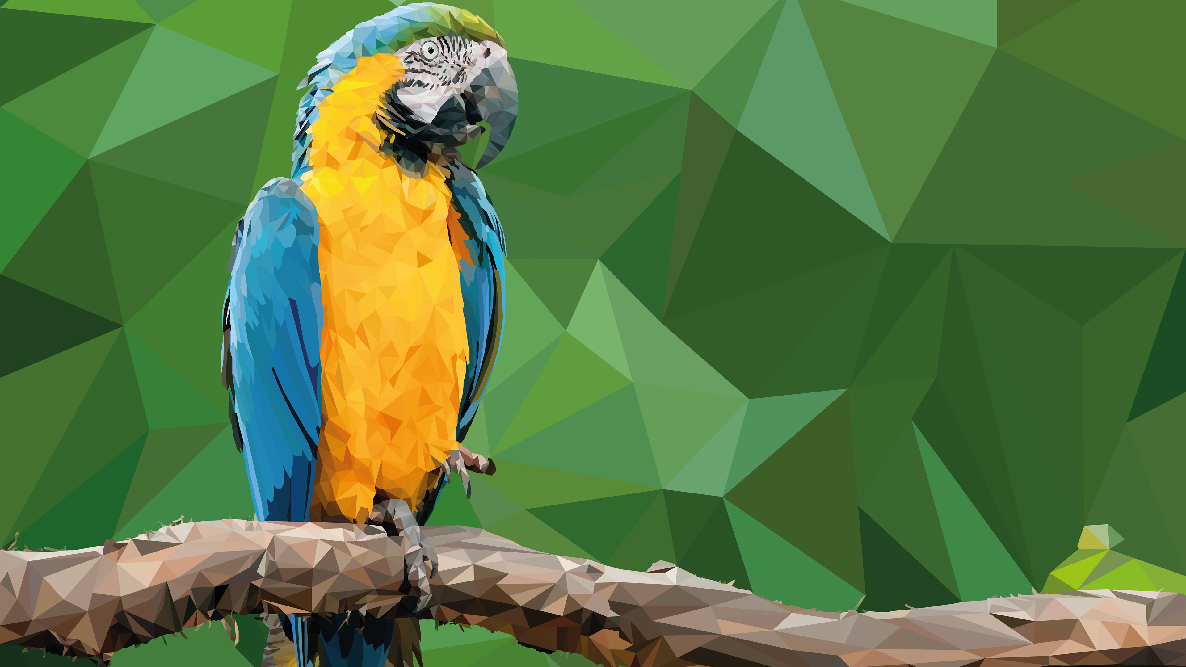 Guacamayo Azul Amarillo y Verde Posado en la Rama de un Árbol Marrón. Wallpaper in 3840x2160 Resolution