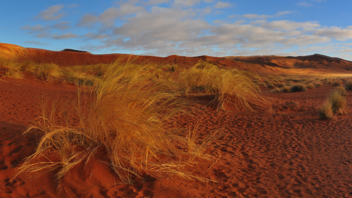 Brown Grass Field Under Blue Sky During Daytime. Wallpaper in 1366x768 Resolution