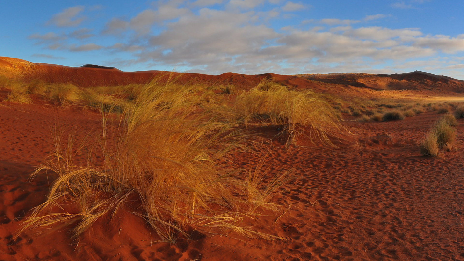 Brown Grass Field Under Blue Sky During Daytime. Wallpaper in 1920x1080 Resolution