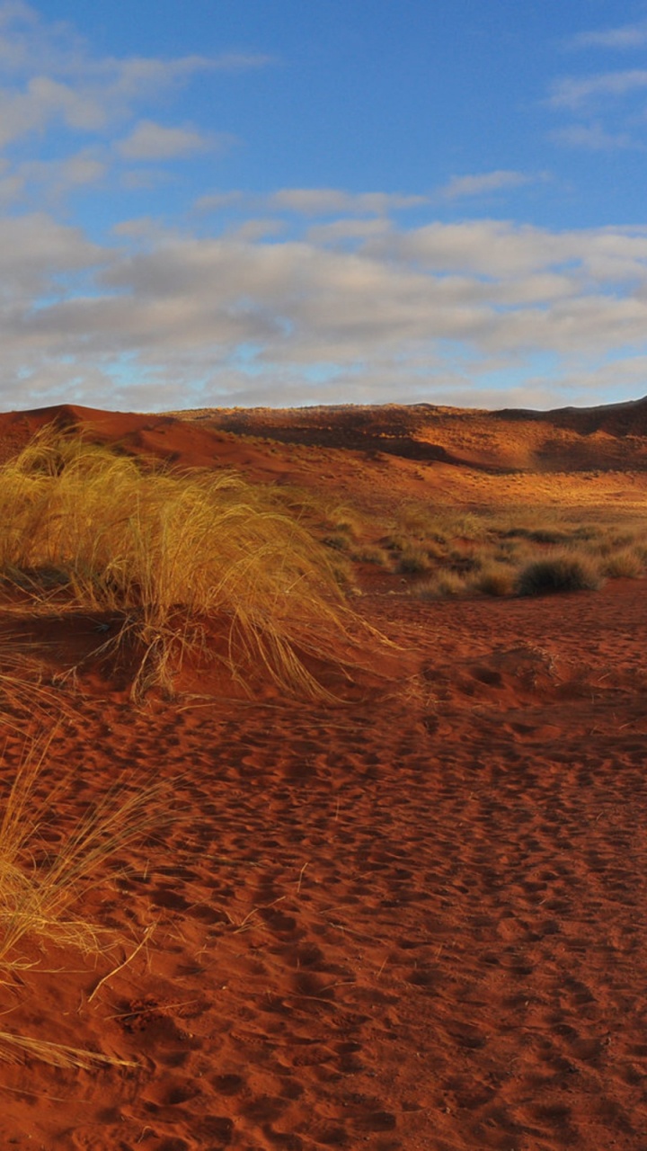 Brown Grass Field Under Blue Sky During Daytime. Wallpaper in 720x1280 Resolution