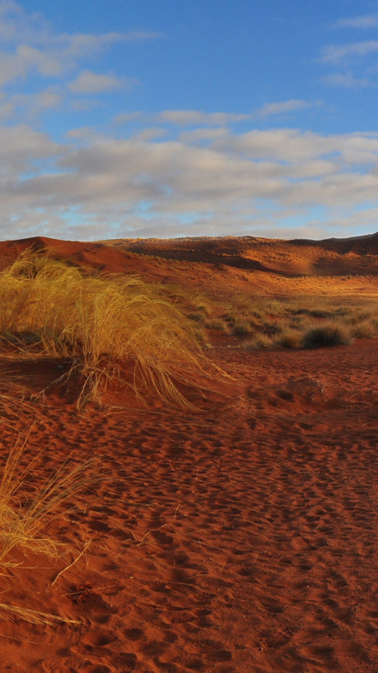 Brown Grass Field Under Blue Sky During Daytime. Wallpaper in 750x1334 Resolution