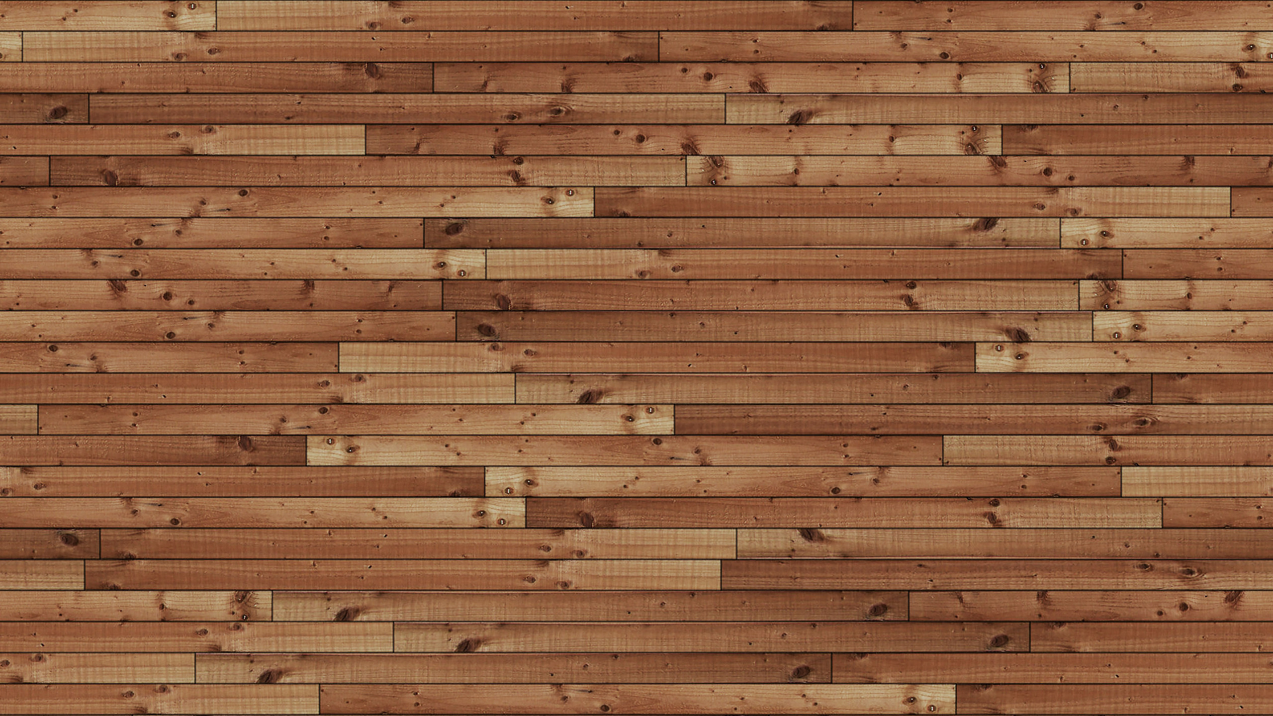 Tagsüber Braune Holzwand. Wallpaper in 2560x1440 Resolution