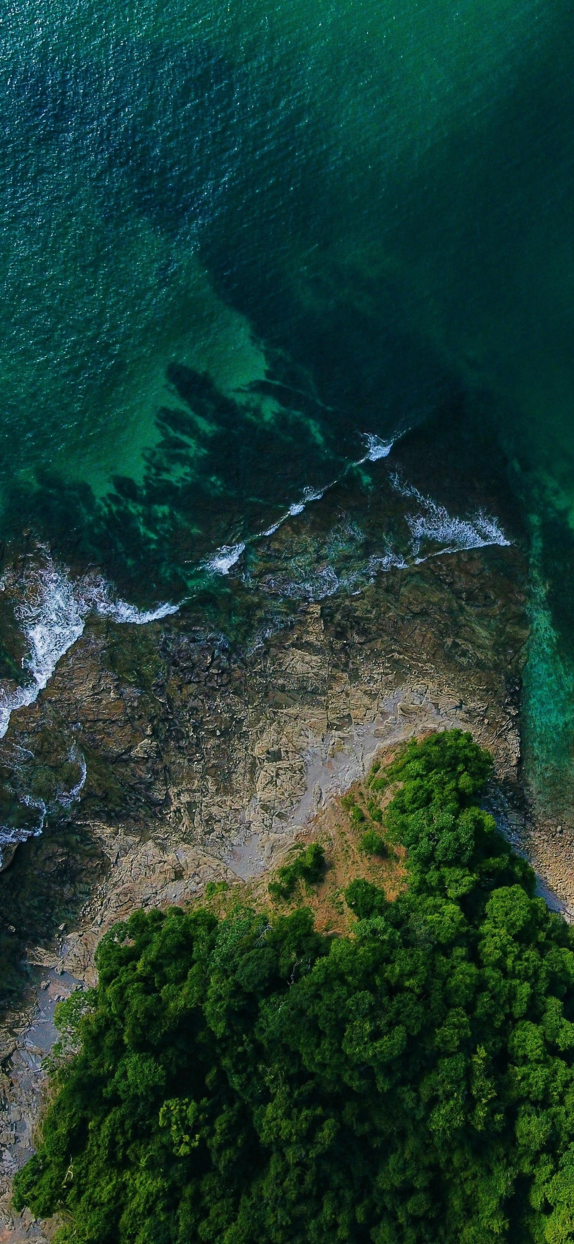 Vegetation, Wasser, Naturlandschaft, Wasserlauf, Gelände. Wallpaper in 1125x2436 Resolution