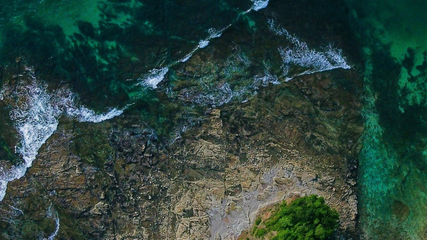 Vegetation, Water, Natural Landscape, Watercourse, Terrain. Wallpaper in 1366x768 Resolution