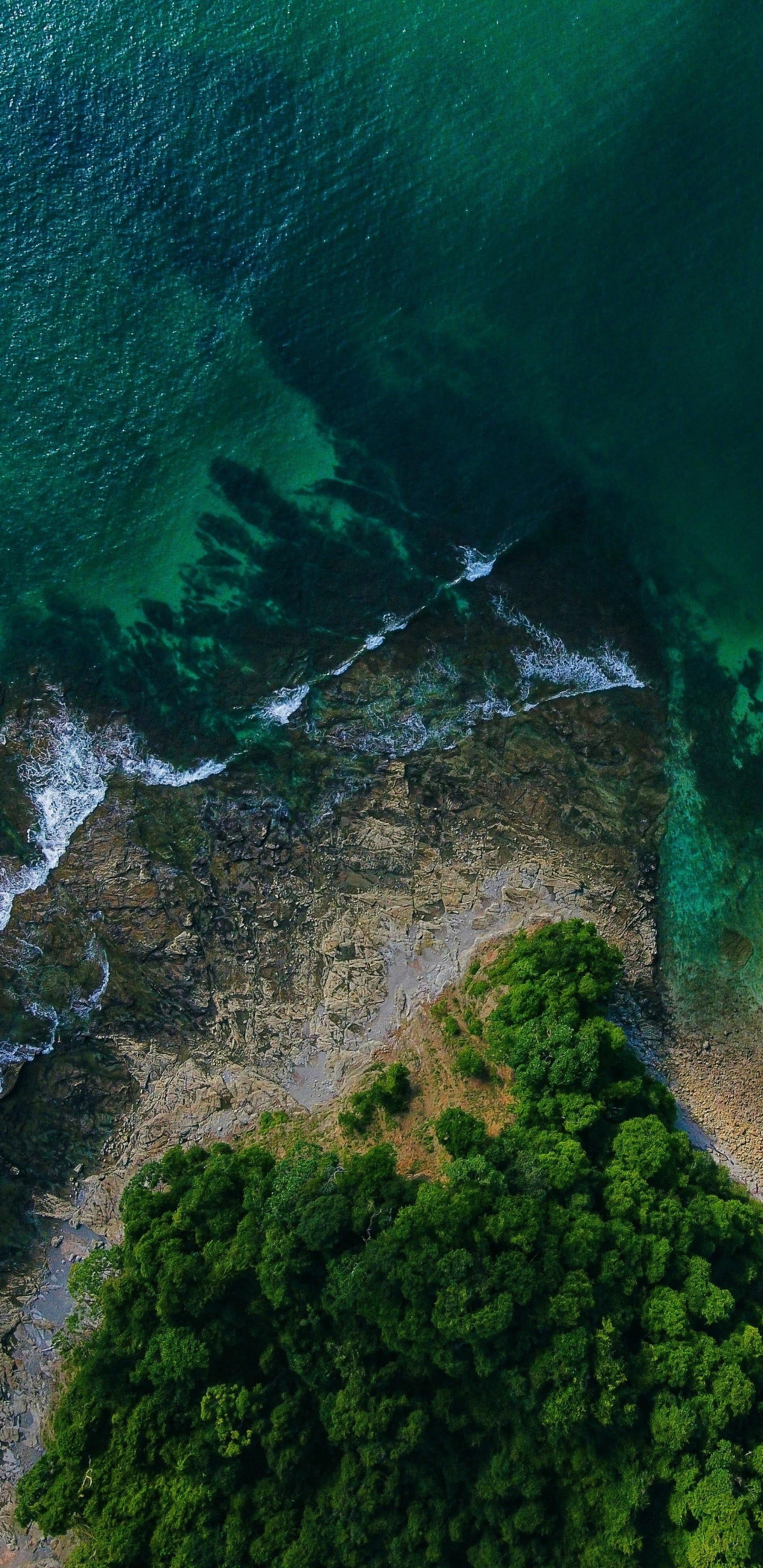 Vegetation, Water, Natural Landscape, Watercourse, Terrain. Wallpaper in 1440x2960 Resolution