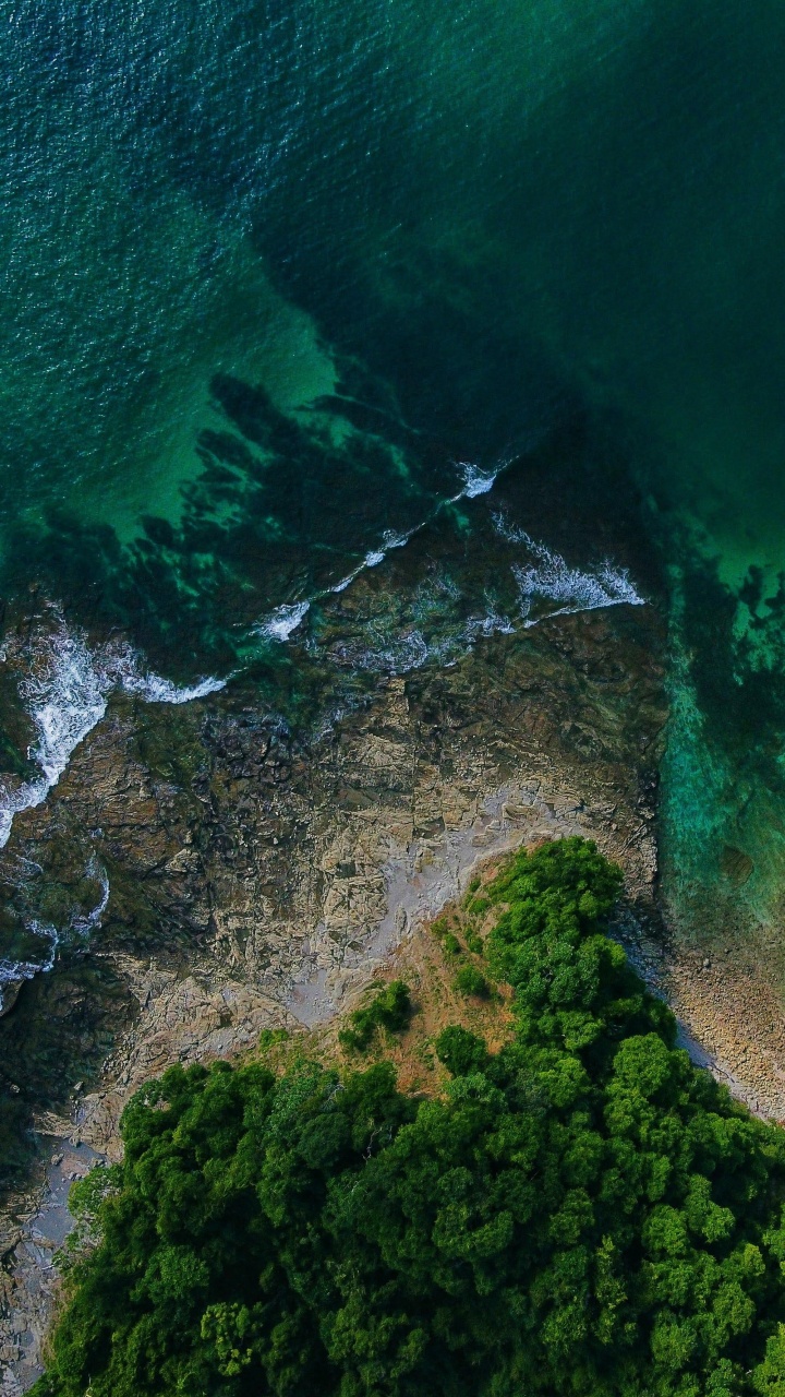 Vegetation, Water, Natural Landscape, Watercourse, Terrain. Wallpaper in 720x1280 Resolution