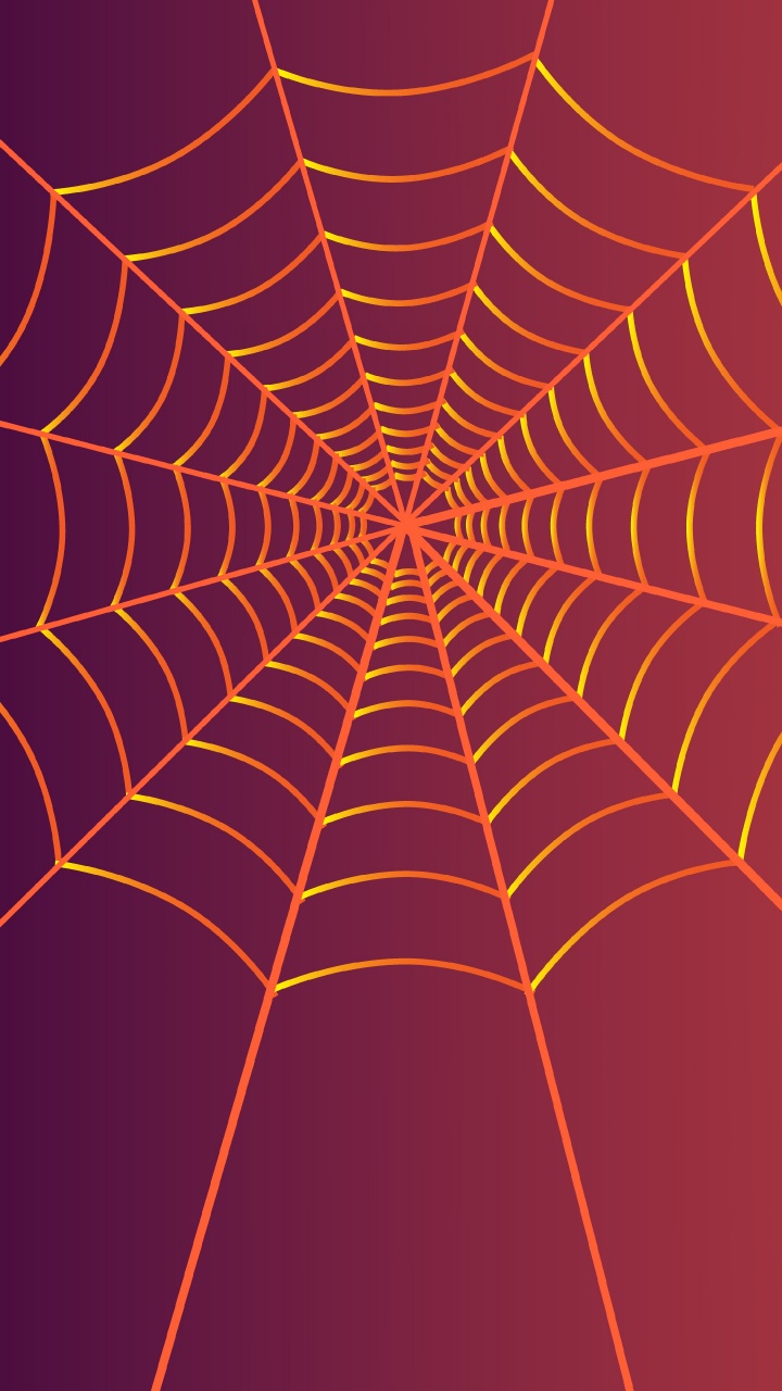 Telaraña Naranja en Fotografía de Cerca. Wallpaper in 720x1280 Resolution