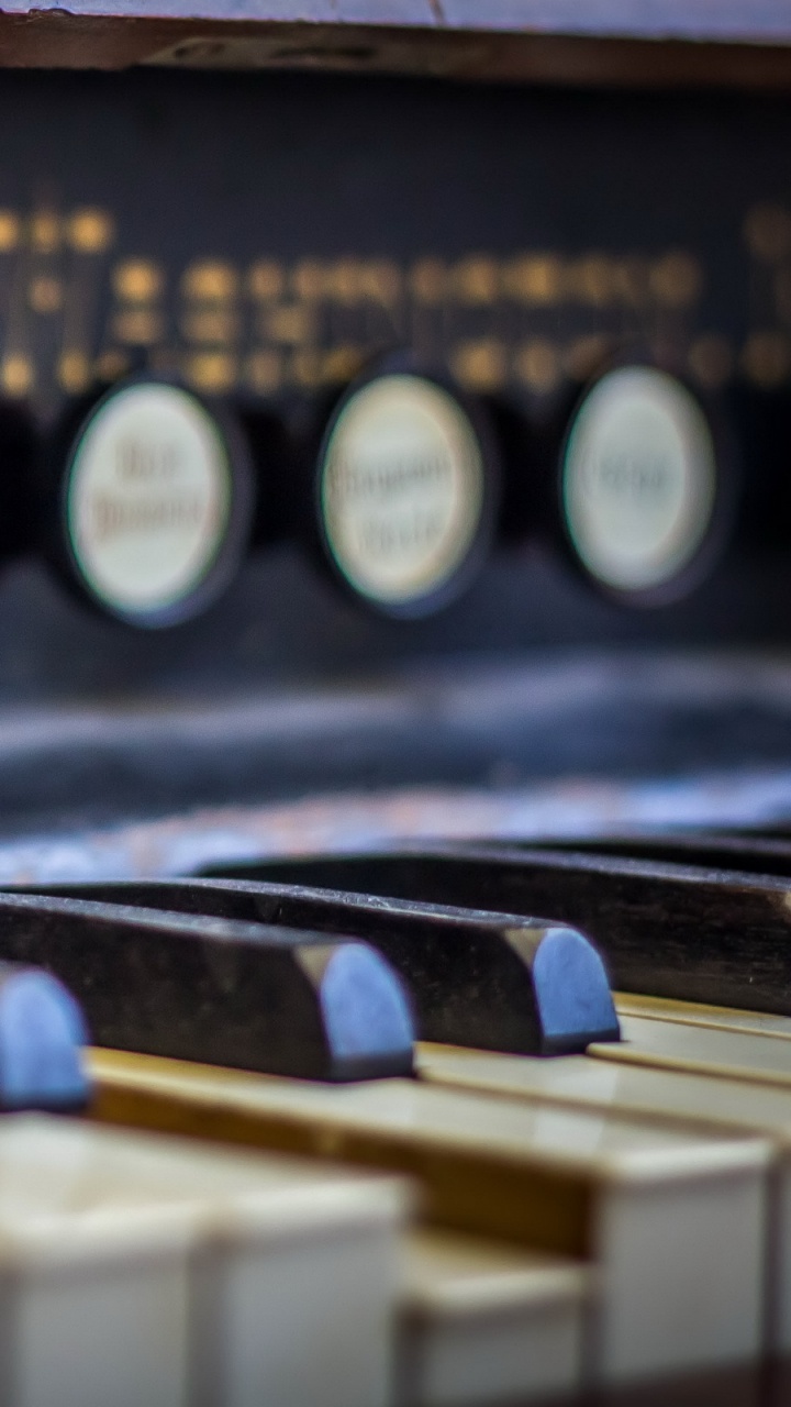 Player Piano, E-piano, Digitalpiano, Elektronisches Keyboard, Musikalische Tastatur. Wallpaper in 720x1280 Resolution