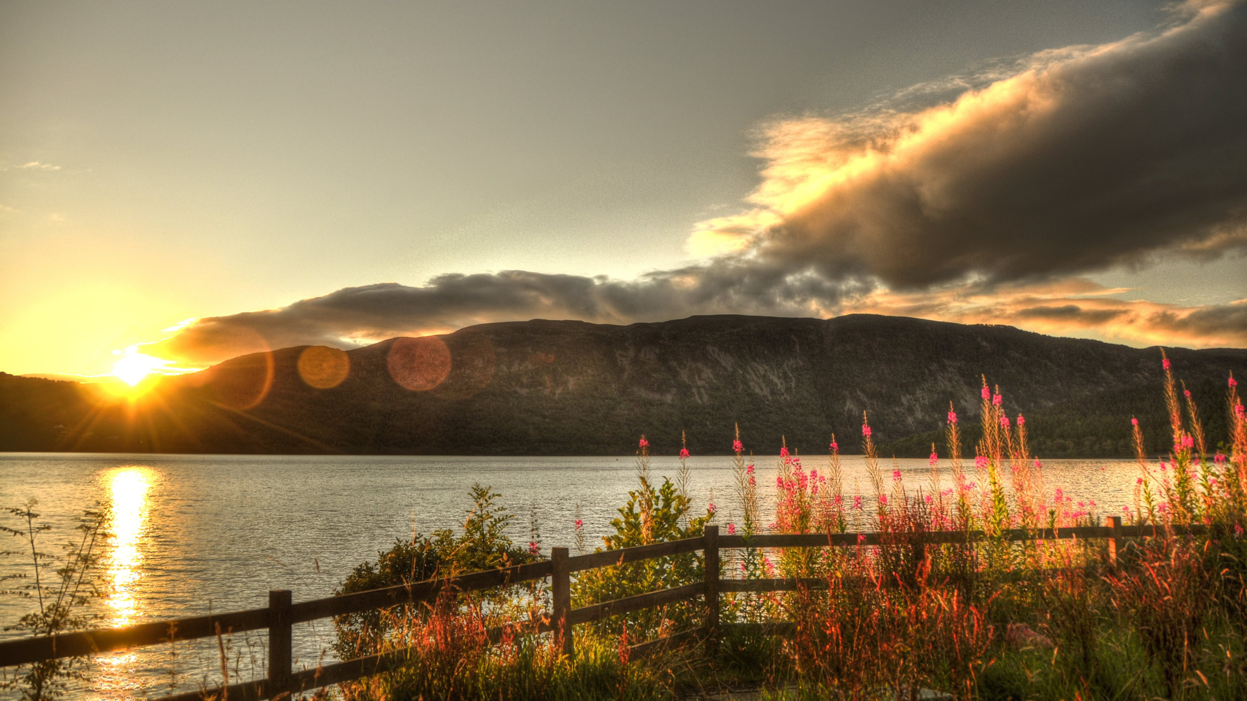 Brown Wooden Fence Near Body of Water During Daytime. Wallpaper in 2560x1440 Resolution
