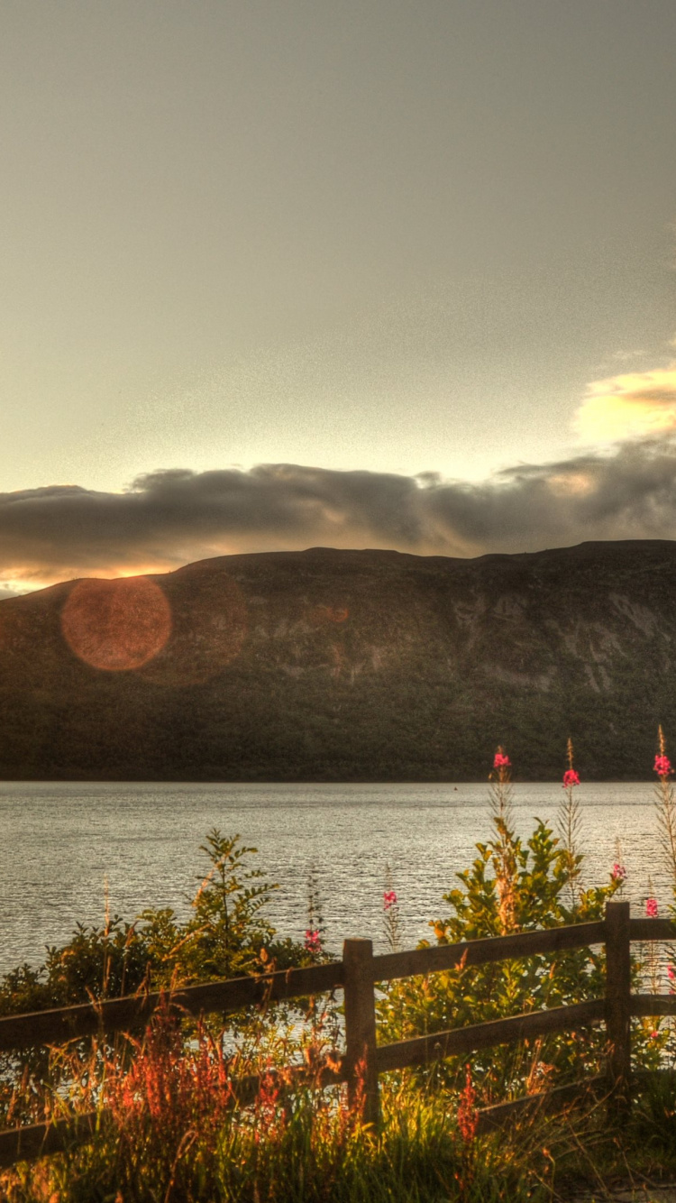 Brown Wooden Fence Near Body of Water During Daytime. Wallpaper in 750x1334 Resolution