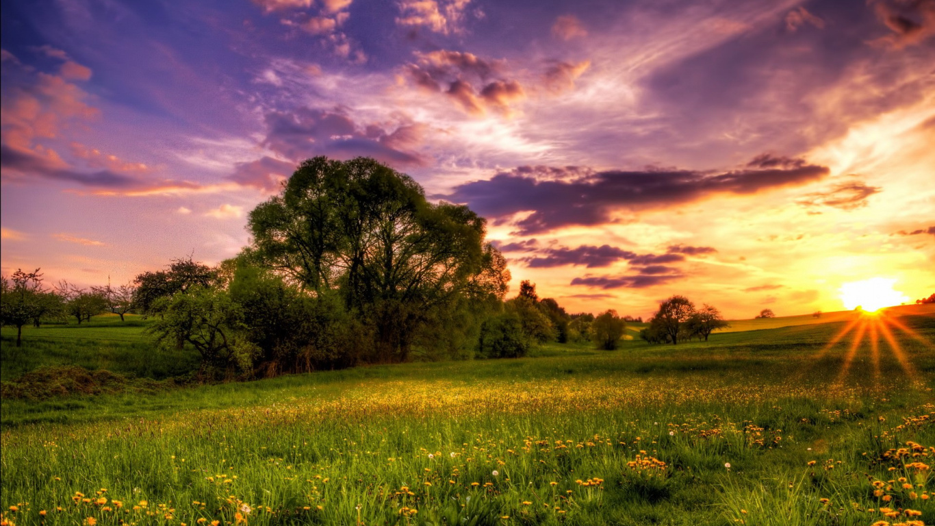 Campo de Hierba Verde Con Árboles Bajo un Cielo Azul Durante el Día. Wallpaper in 1366x768 Resolution
