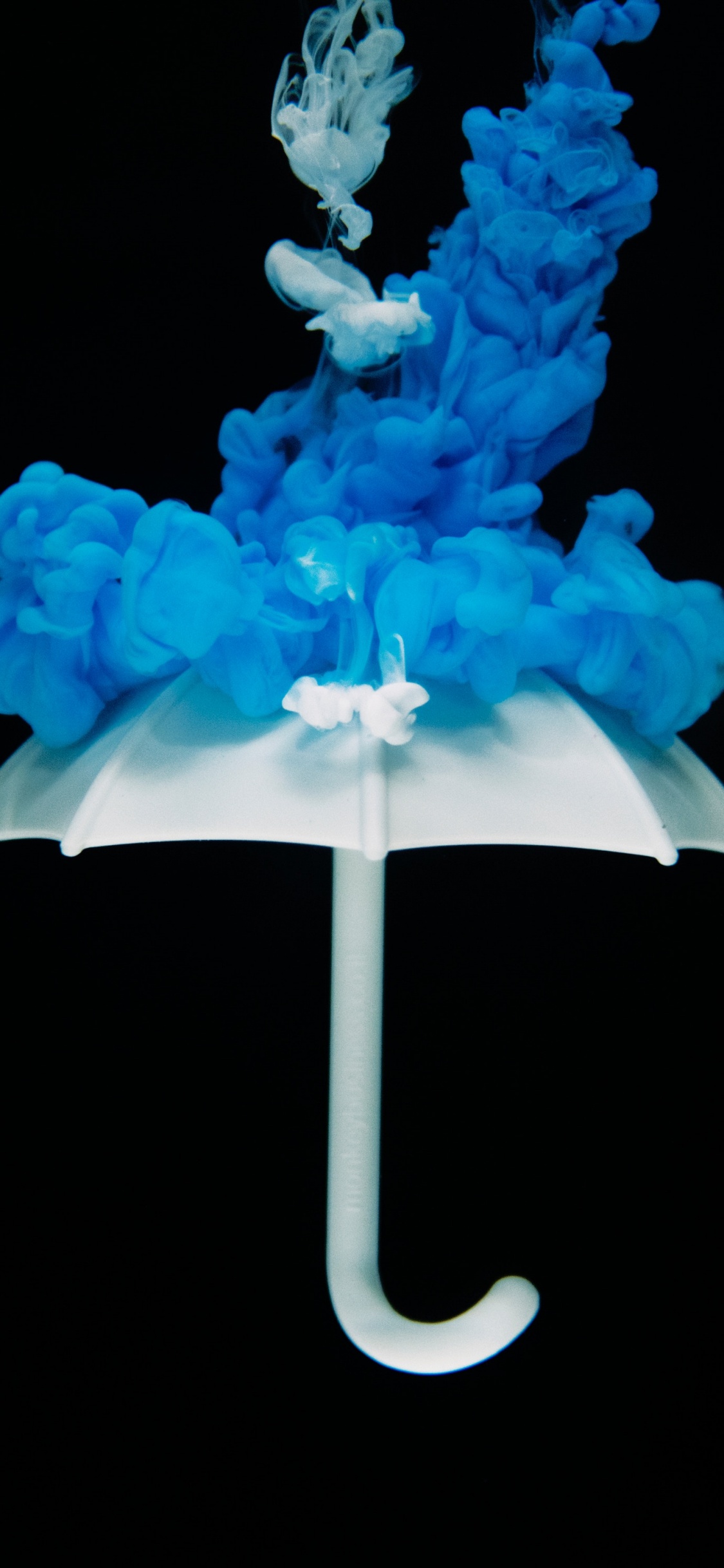 Blaue Und Weiße Blumenillustration. Wallpaper in 1125x2436 Resolution