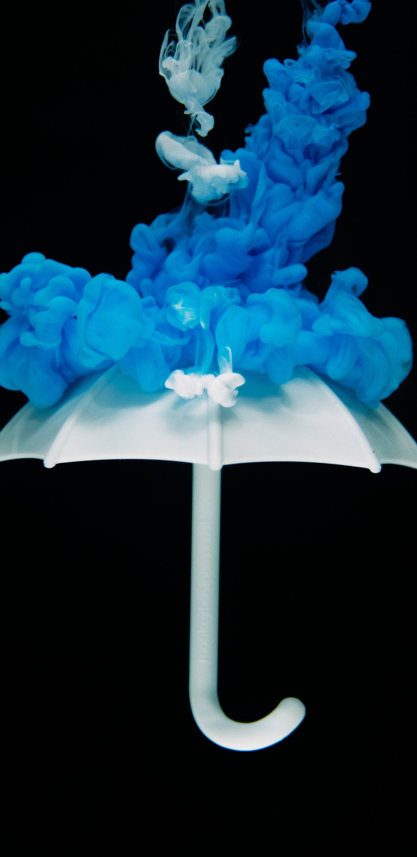 Blaue Und Weiße Blumenillustration. Wallpaper in 1440x2960 Resolution